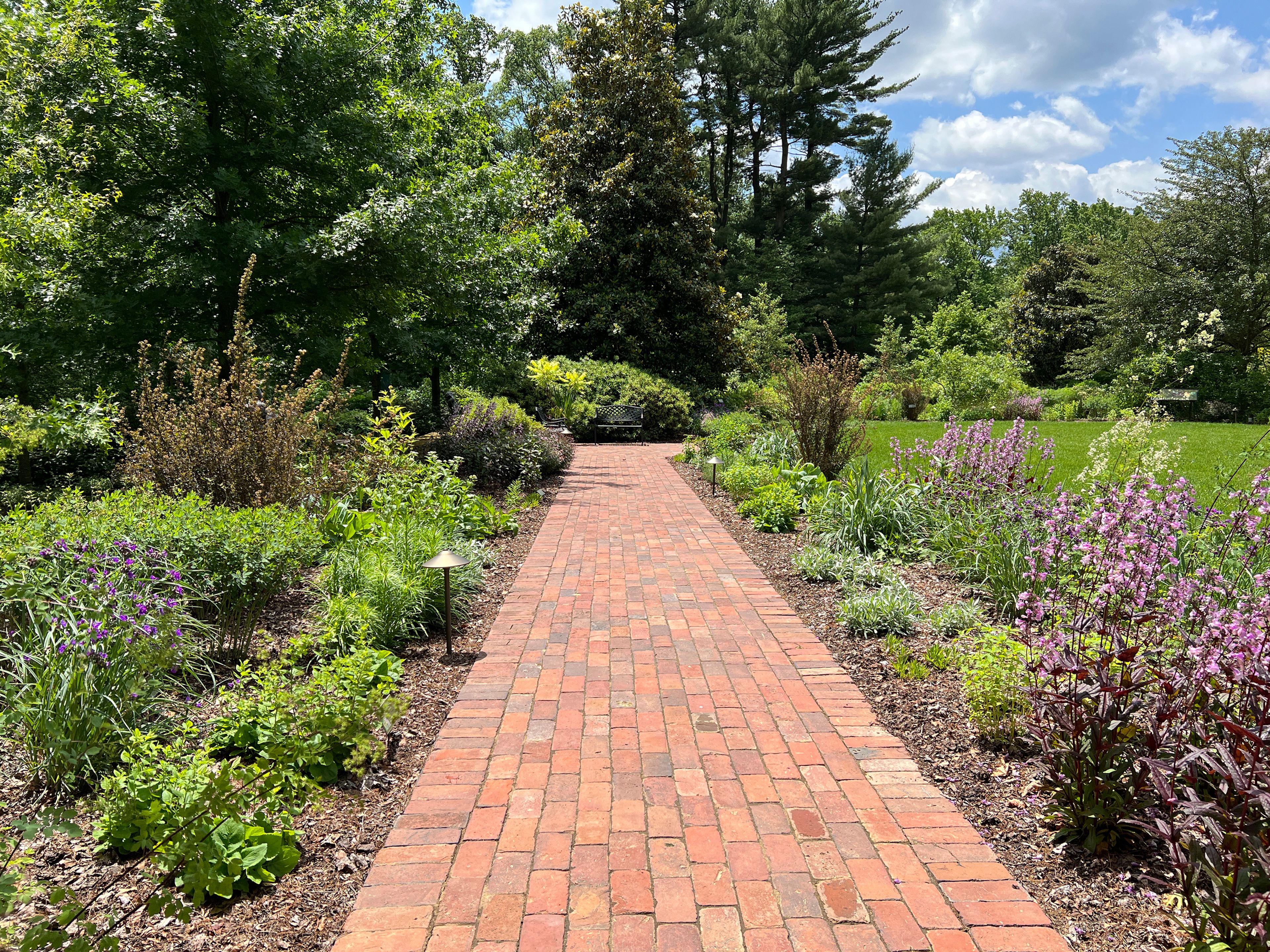 This undated photo provided by Mt. Cuba Center shows the Hockessin, Del. botanical garden's formal South Garden, planted entirely with native plants and cultivars of native plants, including: Penstemon, Thalictrum, Tradescantia, Liatris, Monarda, Amsonia, Artemesia, Baptisia, Eryngium, Physocarpus, Redbeckia, Solidago and Eryngium species.