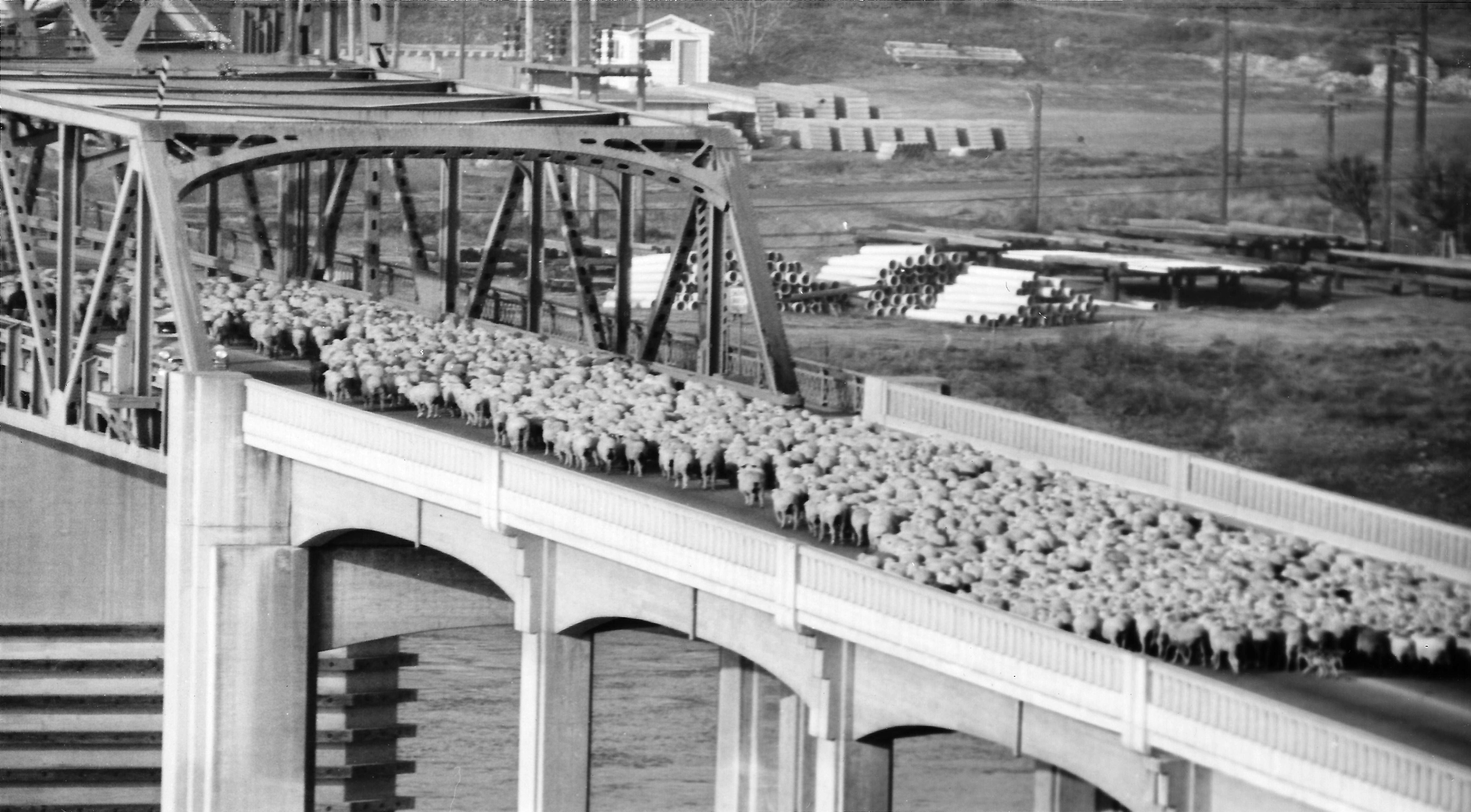 Blast from the Past / 1959: Heading for winter home
