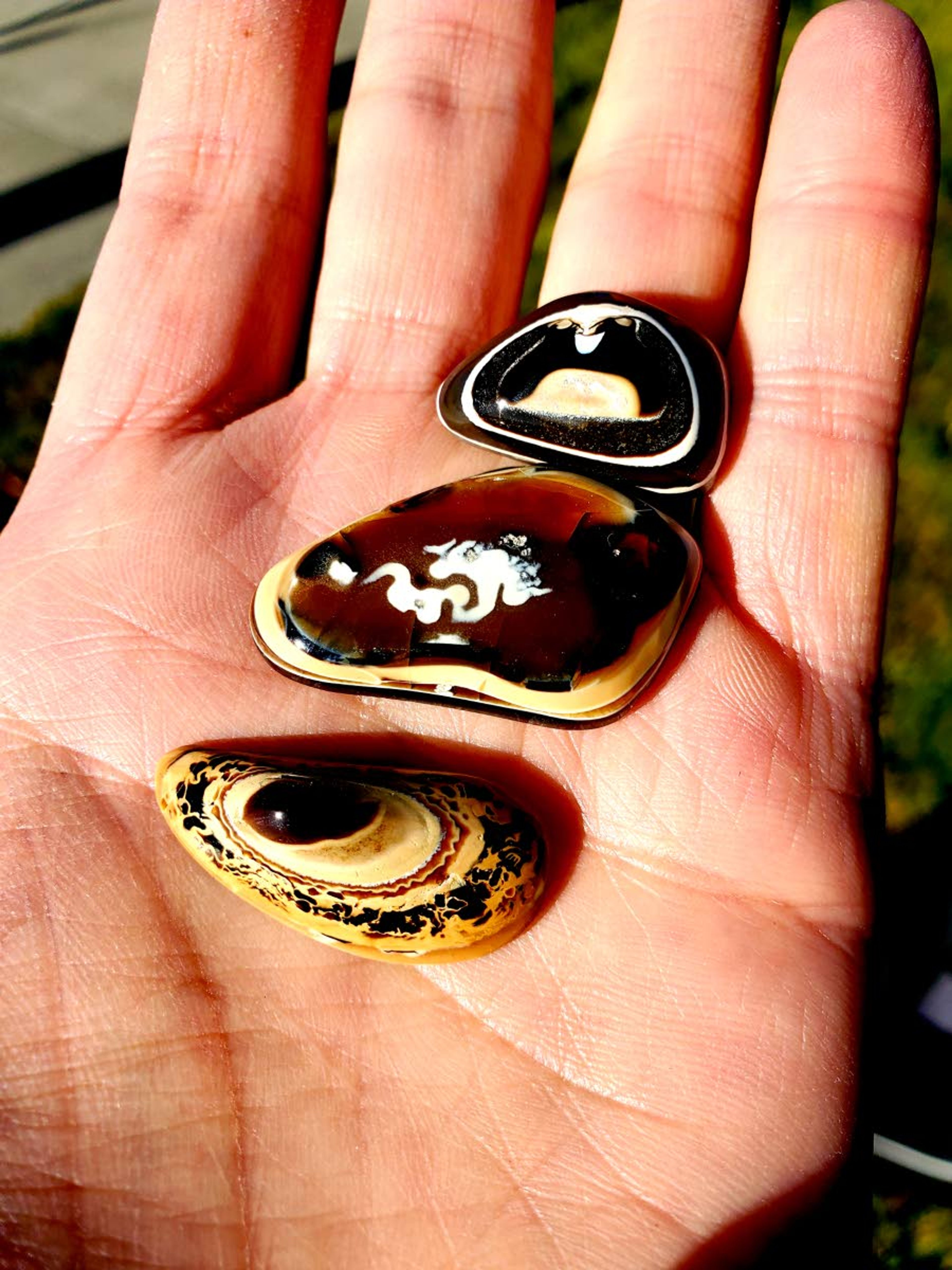 Fryite jasper was discovered by the late W.A. (Abe) Fry of Lewiston and is only found in the Lewiston-Clarkston Valley. These three pieces were found, cut and polished by Squires.