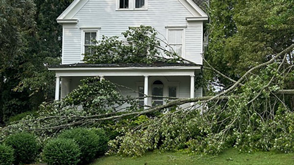 Thunderstorm downs trees, power lines across Smithfield