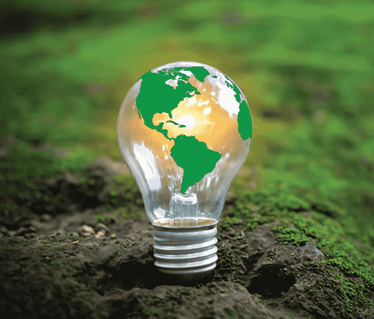 The Joys of Nature and Ecology in Bond County, Illinois