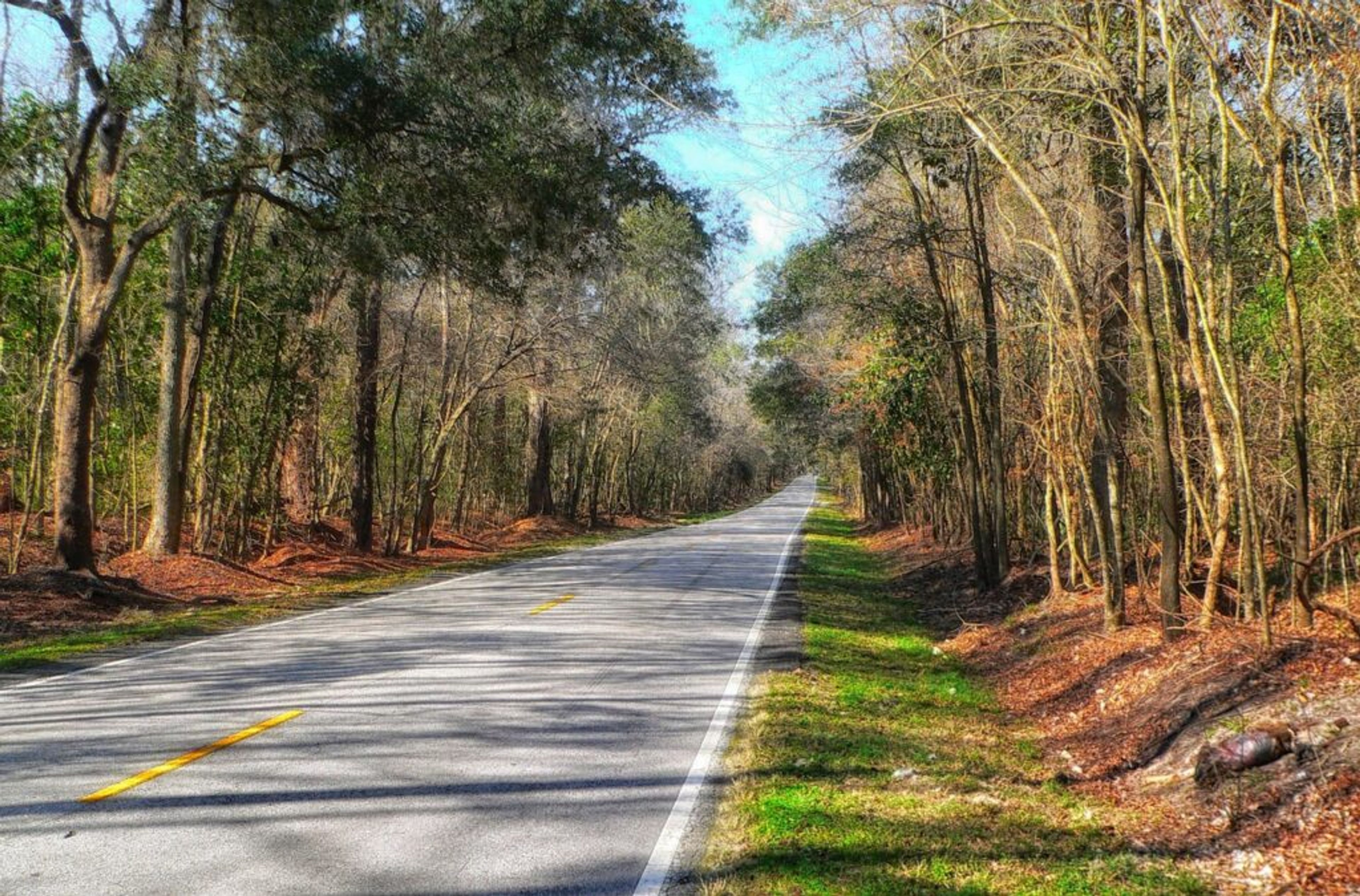 North Carolina’s rural anger
