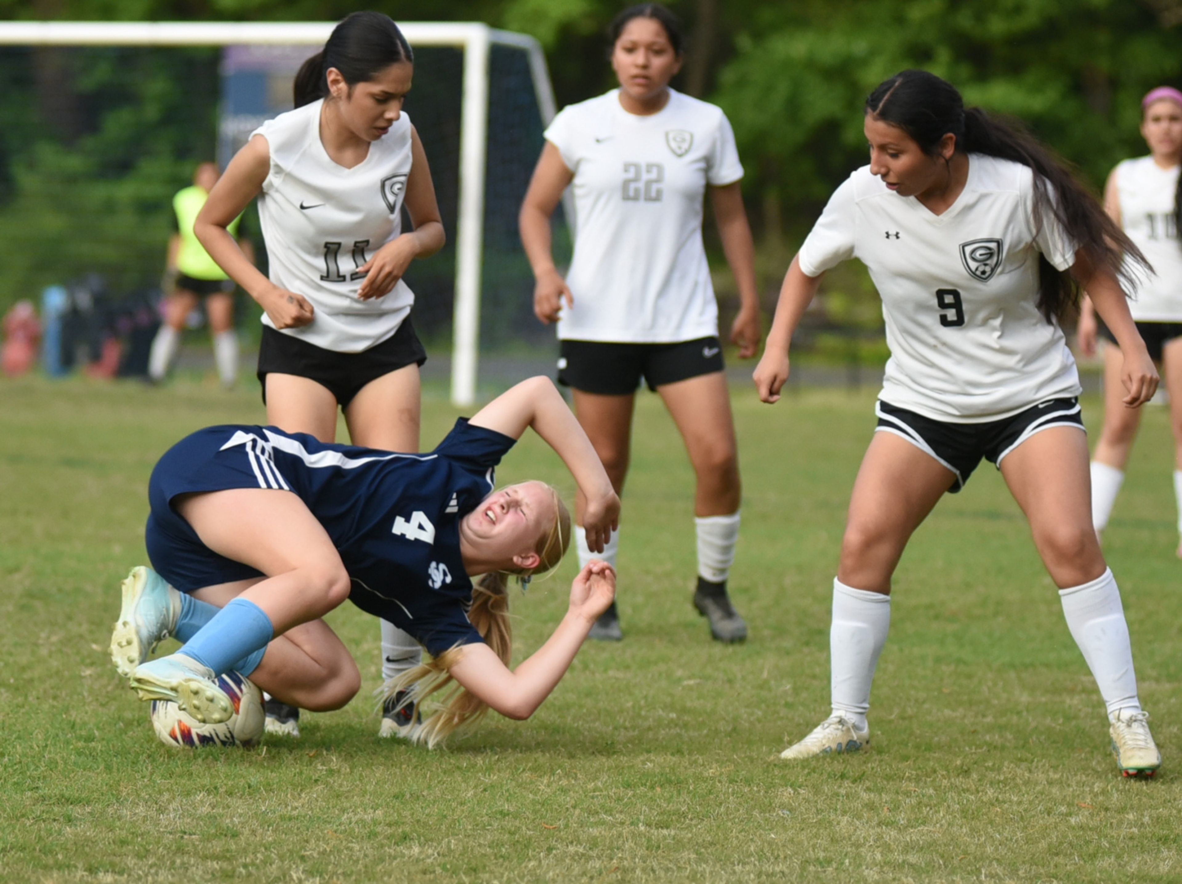 Di Luccia leads Panthers over Vikings