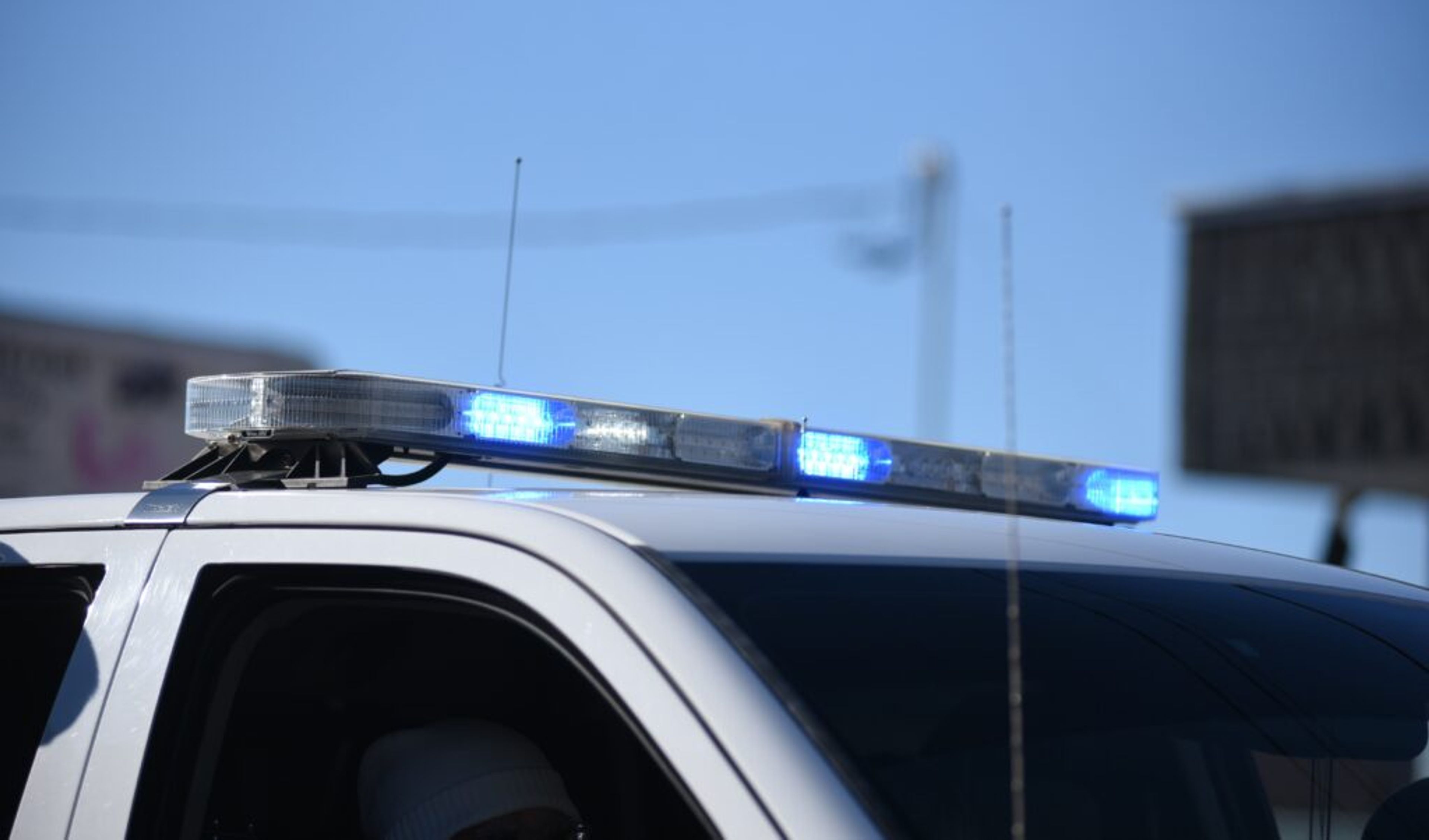 Crime reports released by law enforcement