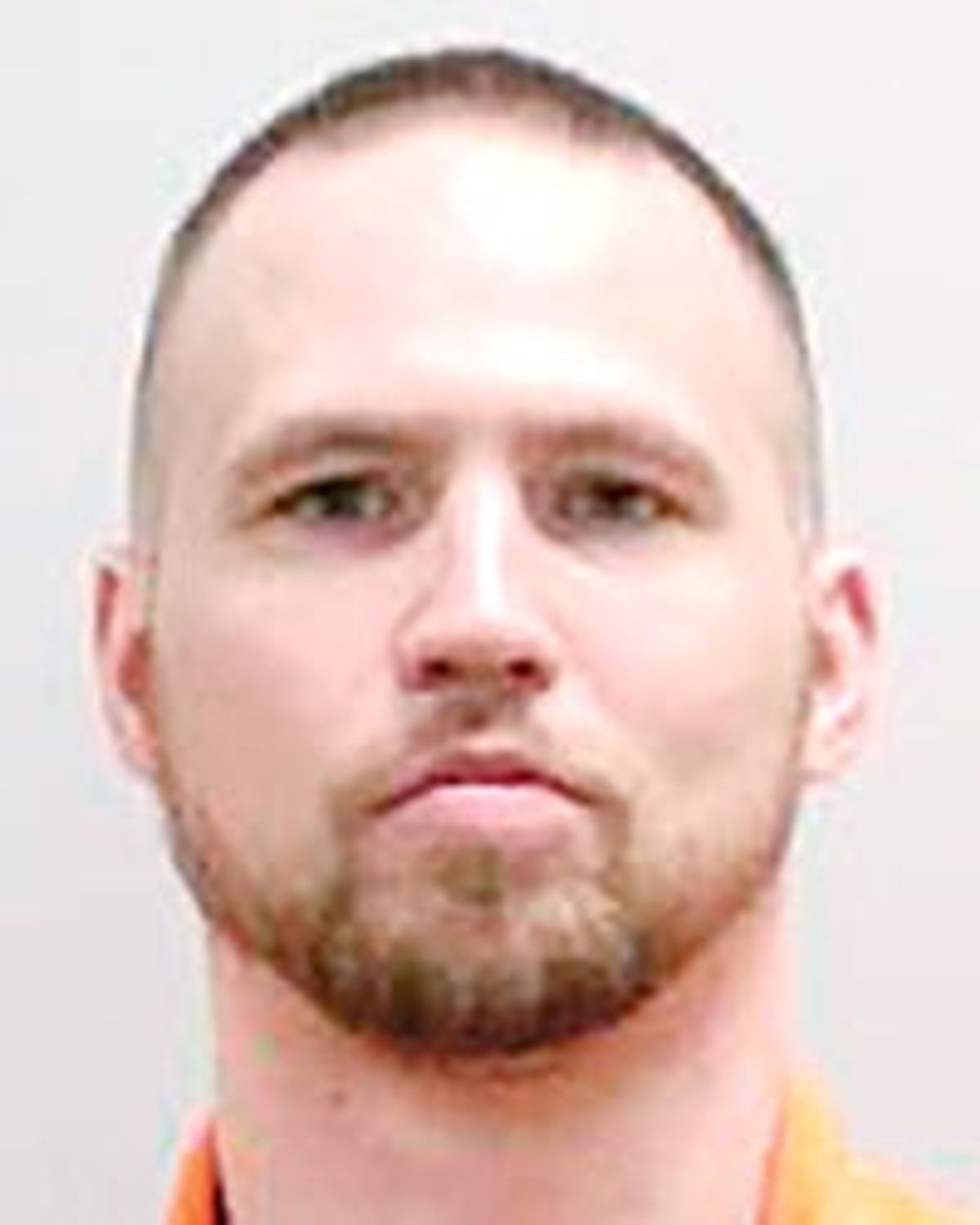 Rochester man pleads guilty to punching woman in the face