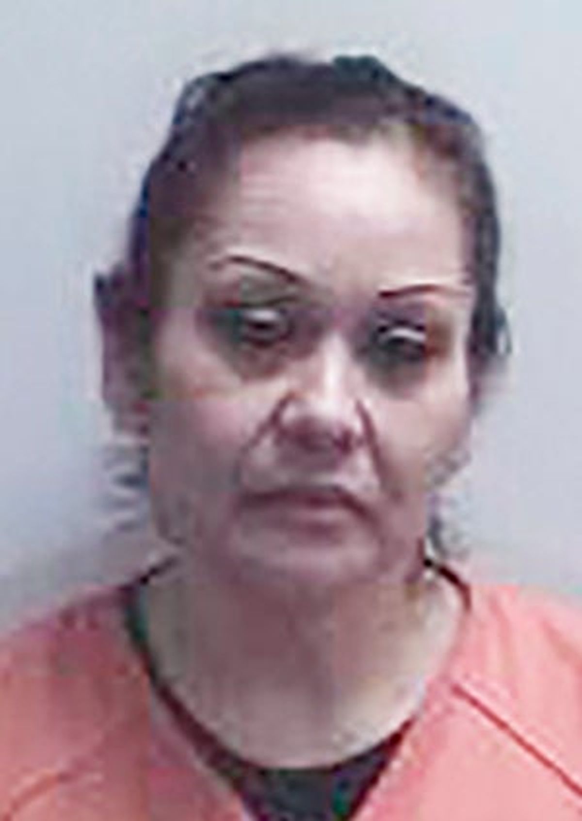 2 charged after smashing car window with shotgun