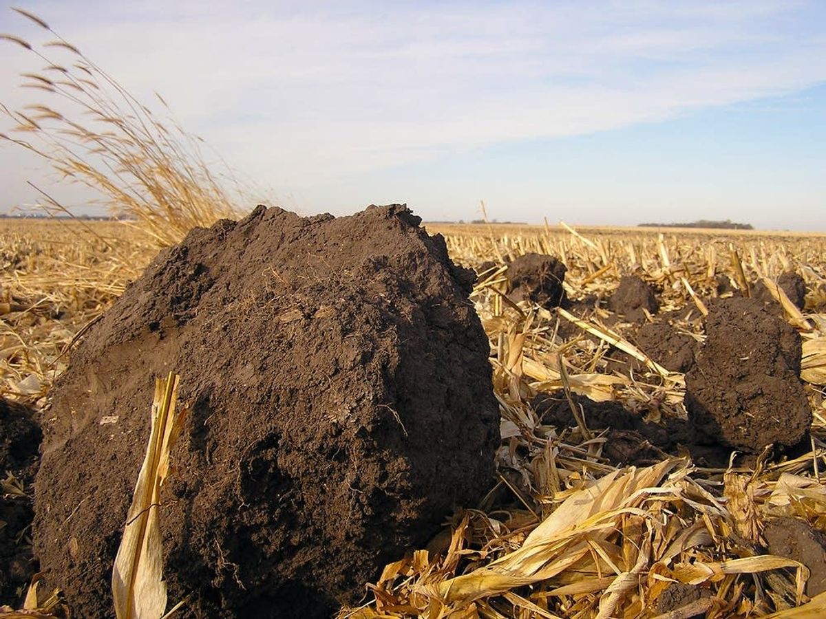 Some Minnesota farmers are on edge as drought conditions creep through the state