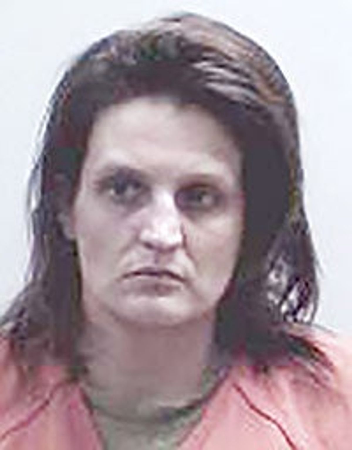 Woman accused of fraud, check forgery, drugs pleads not guil...