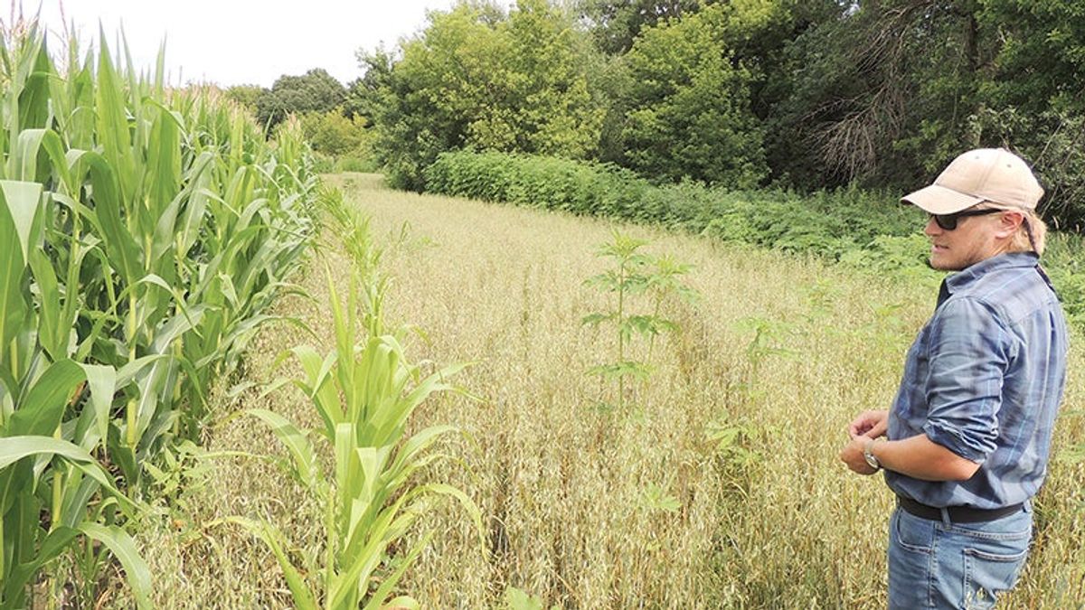 Buffer letters going out before Nov. 1 cutoff