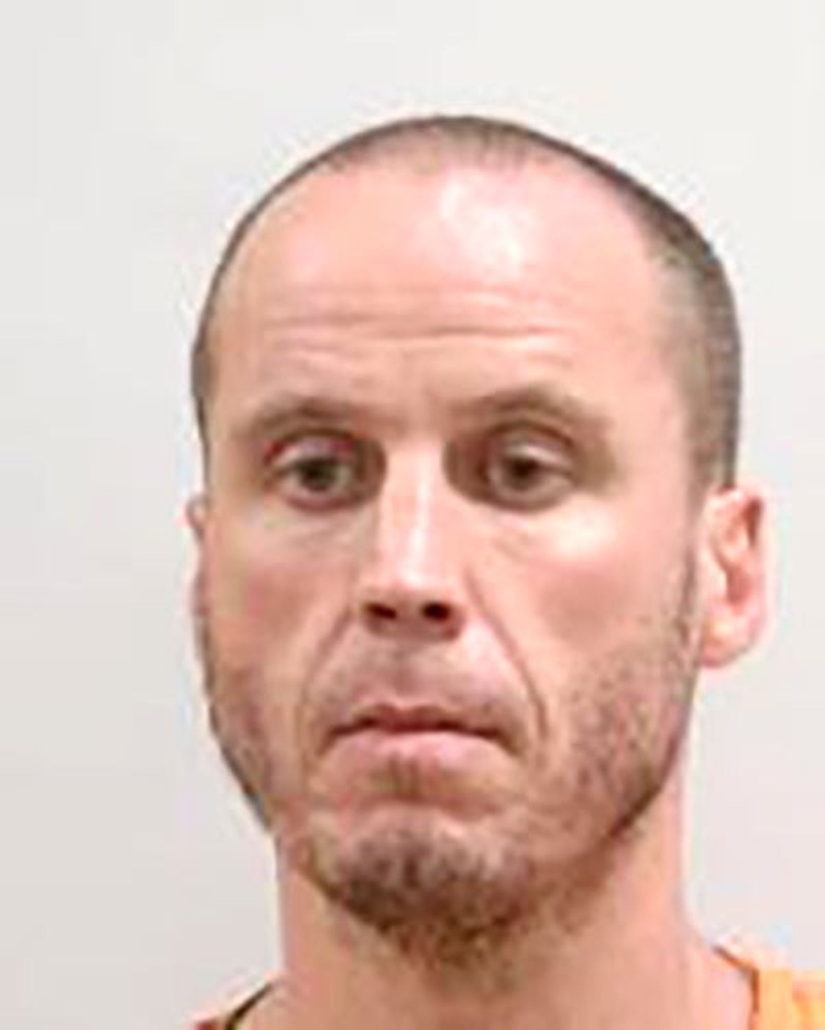 Man charged after fleeing police in stolen vehicle