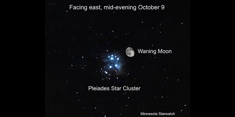 asset_ec82b787-7b74-52cb-935c-