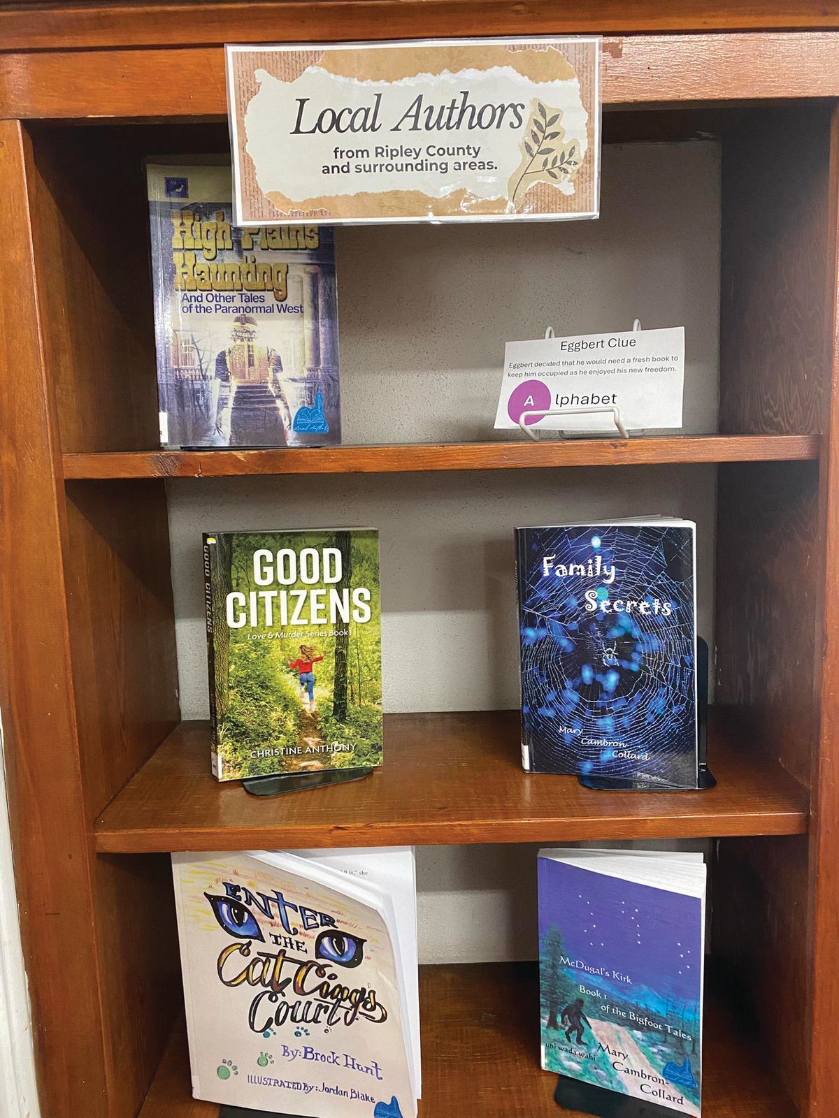 Free 2026 authors fair and library book sale offer coffee, door prizes and more in Doniphan