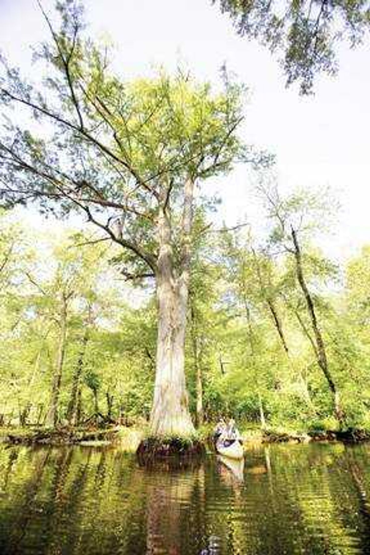 Wildlife refuge is a window on Missouri Bootheel's history
