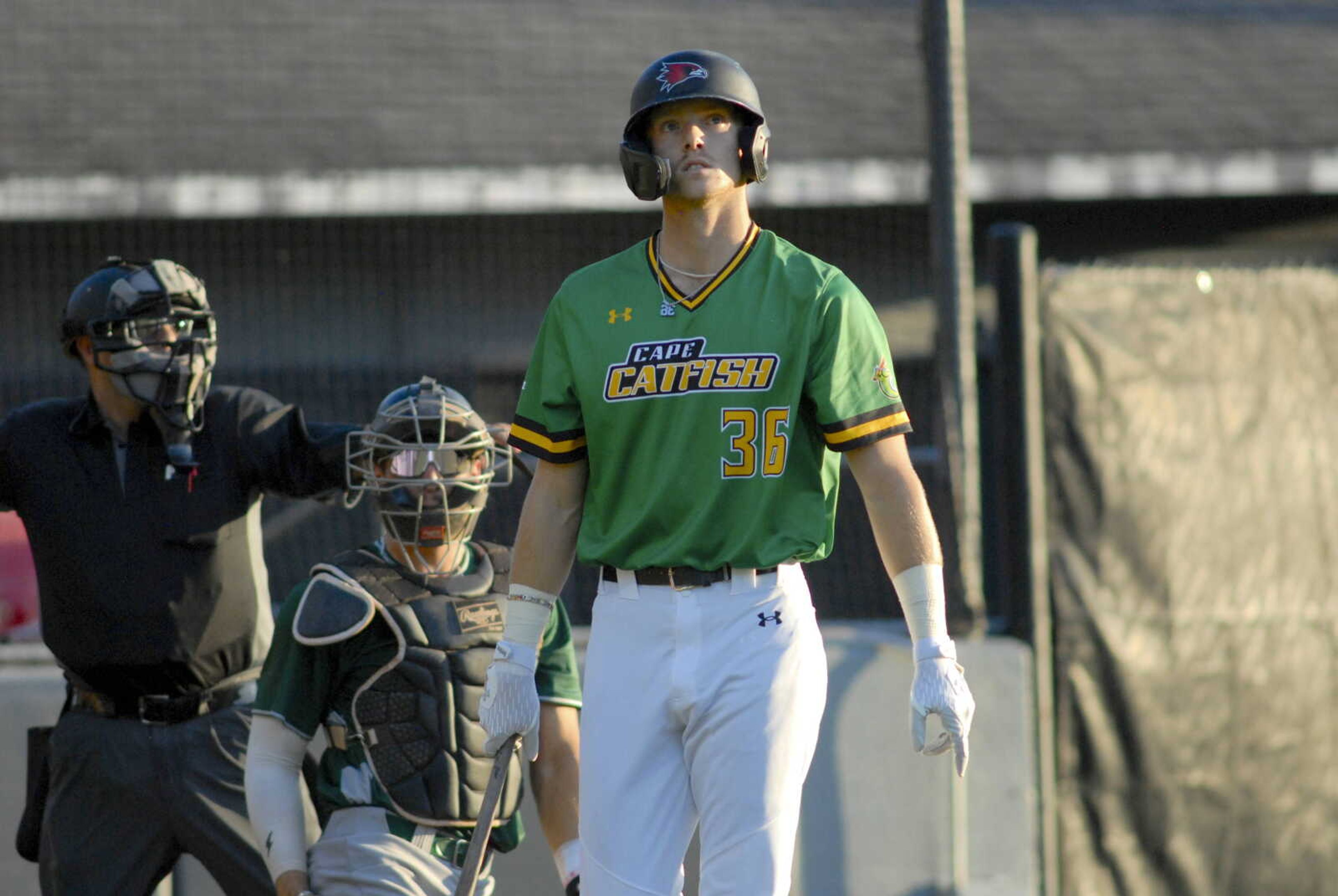 Cape's Bryce Cannon looks on during a Thursday, June 13, 2024 game between the Cape Catfish and the Danville Dans at Capaha Field in Cape Girardeau, Mo. Cape defeated Danville, 7-5.
