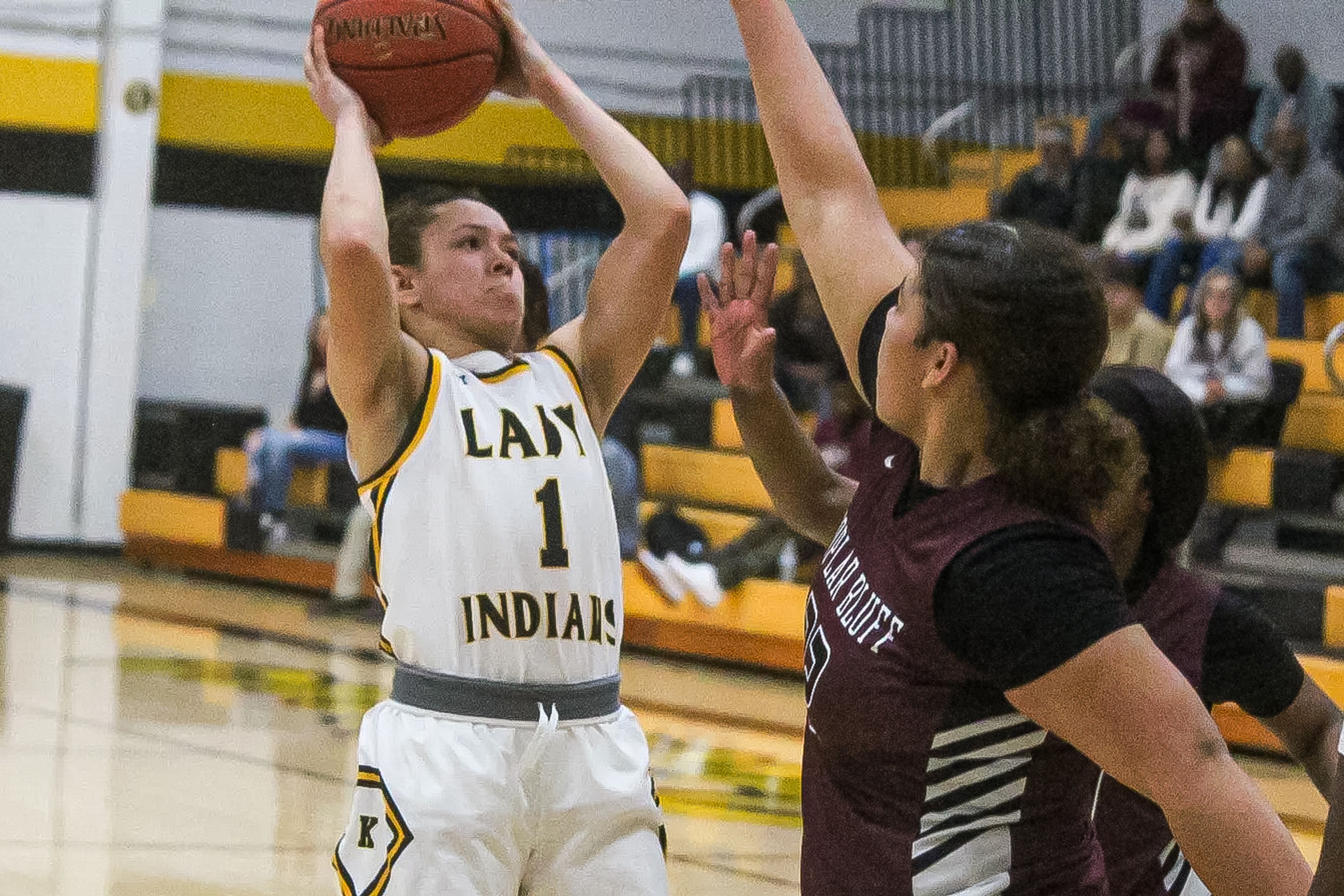 Semoball Girls Basketball Top 10, Jan. 19: Neelyville, Delta sneaking up in rank