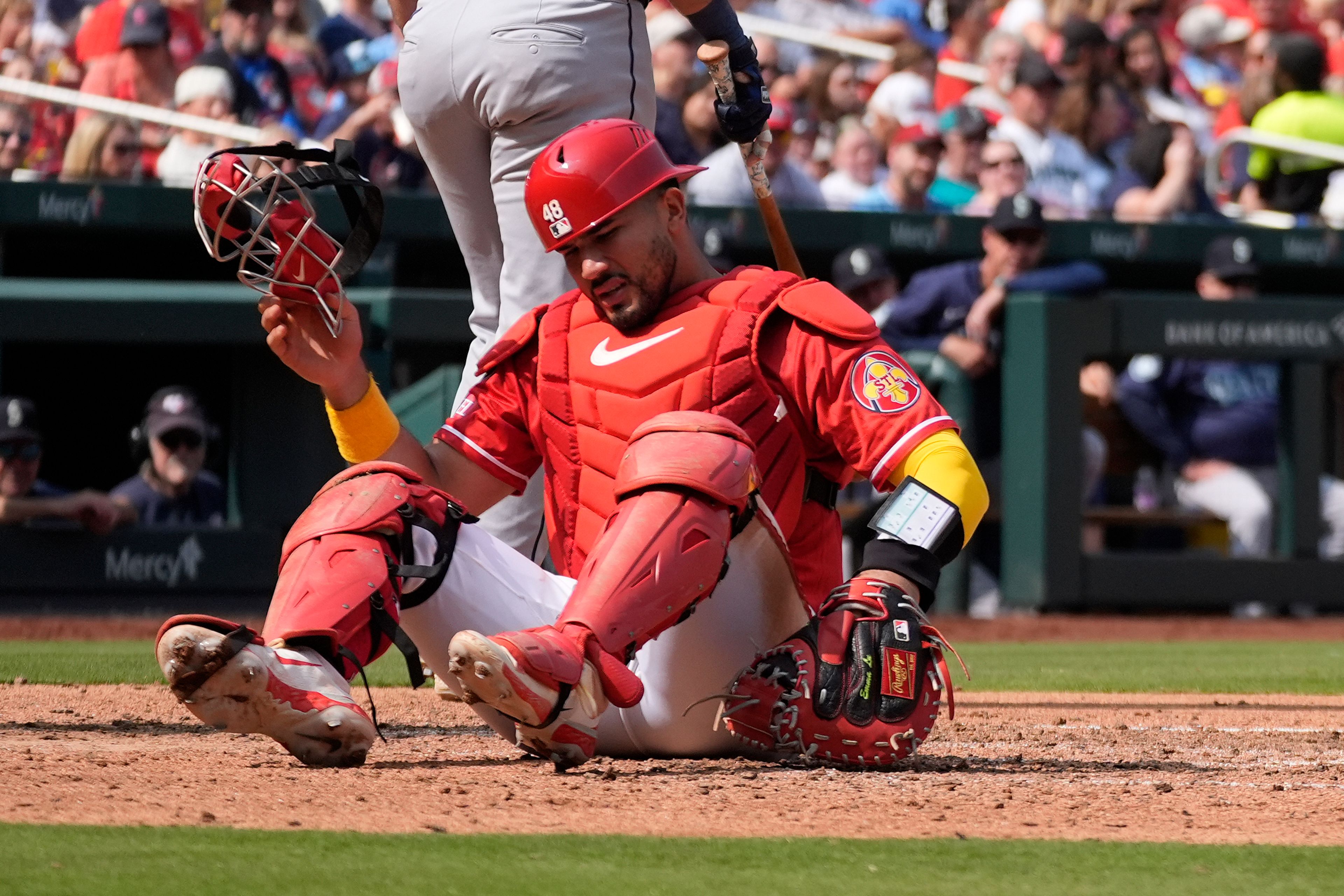 St. Louis Cardinals catcher Ivan Herrera is slow to get up after being injured during the sixth inning of a baseball game against the Seattle Mariners Sunday, Sept. 8, 2024, in St. Louis. (AP Photo/Jeff Roberson)