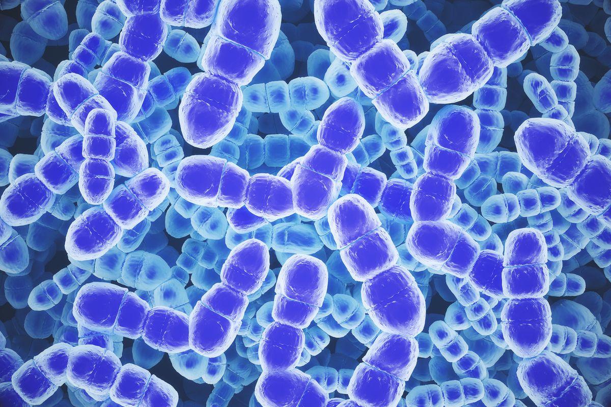 Multistate outbreak of foodborne parasitic illness reaches V...