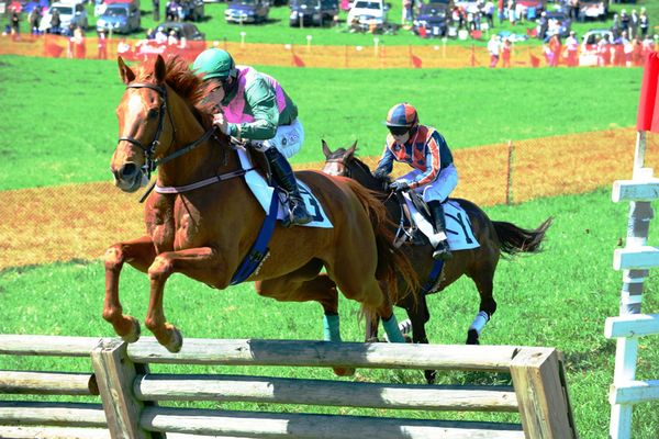 Top horses, riders in nation compete at Ben Venue