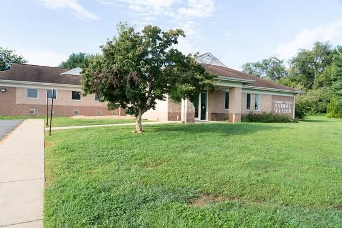 Public blasts Culpeper animal shelter oversight at board mee...