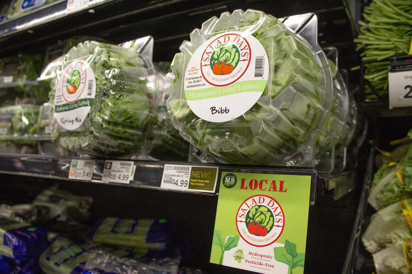 Salad Days expands hydroponic lettuce distribution to Madiso