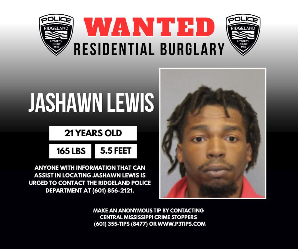 Ridgeland police seek second suspect in Alice Lane burglary ...