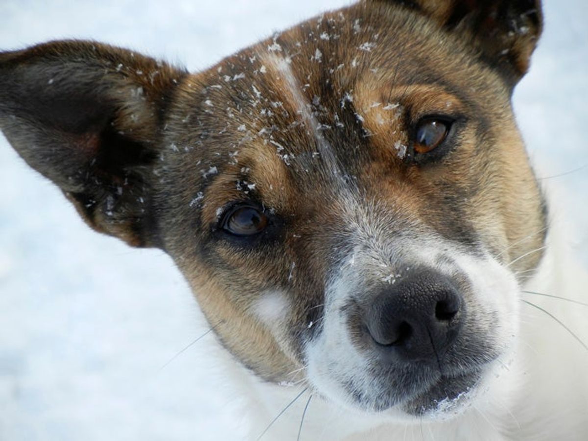 Photo contest winner