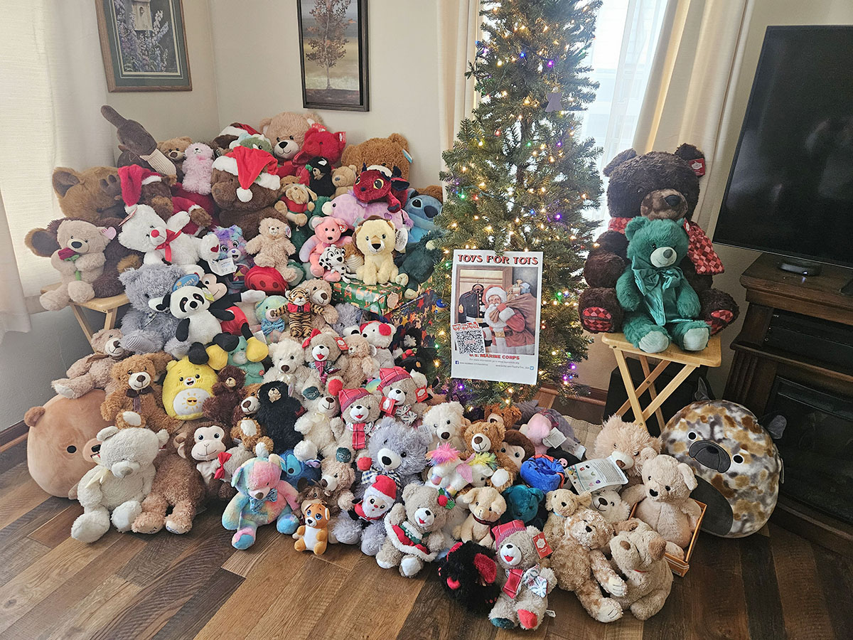 Albert Lea hockey hosts Teddy Bear Toss