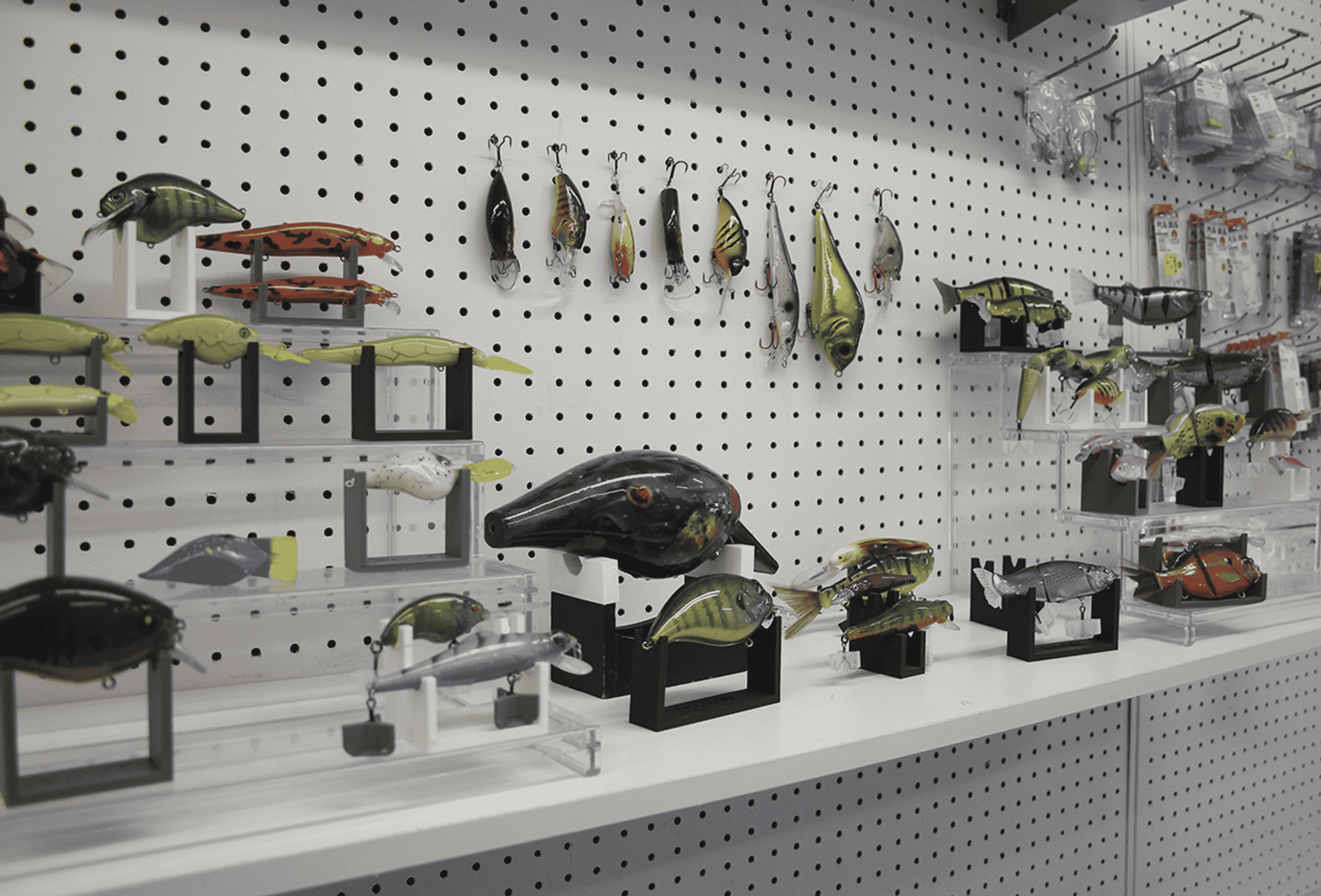 Fischer’s グッズまとめ Fischer_s_MV_1920x1080_c9ca22b