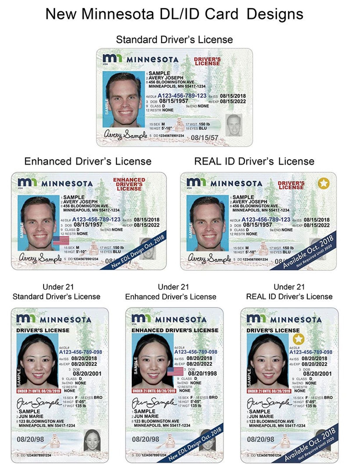 New driver's license, state ID design unveiled