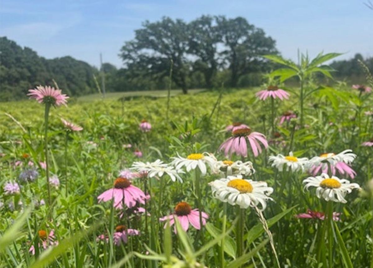 Art Center prepares for Art and Garden Tour in Albert Lea, Alden this weekend