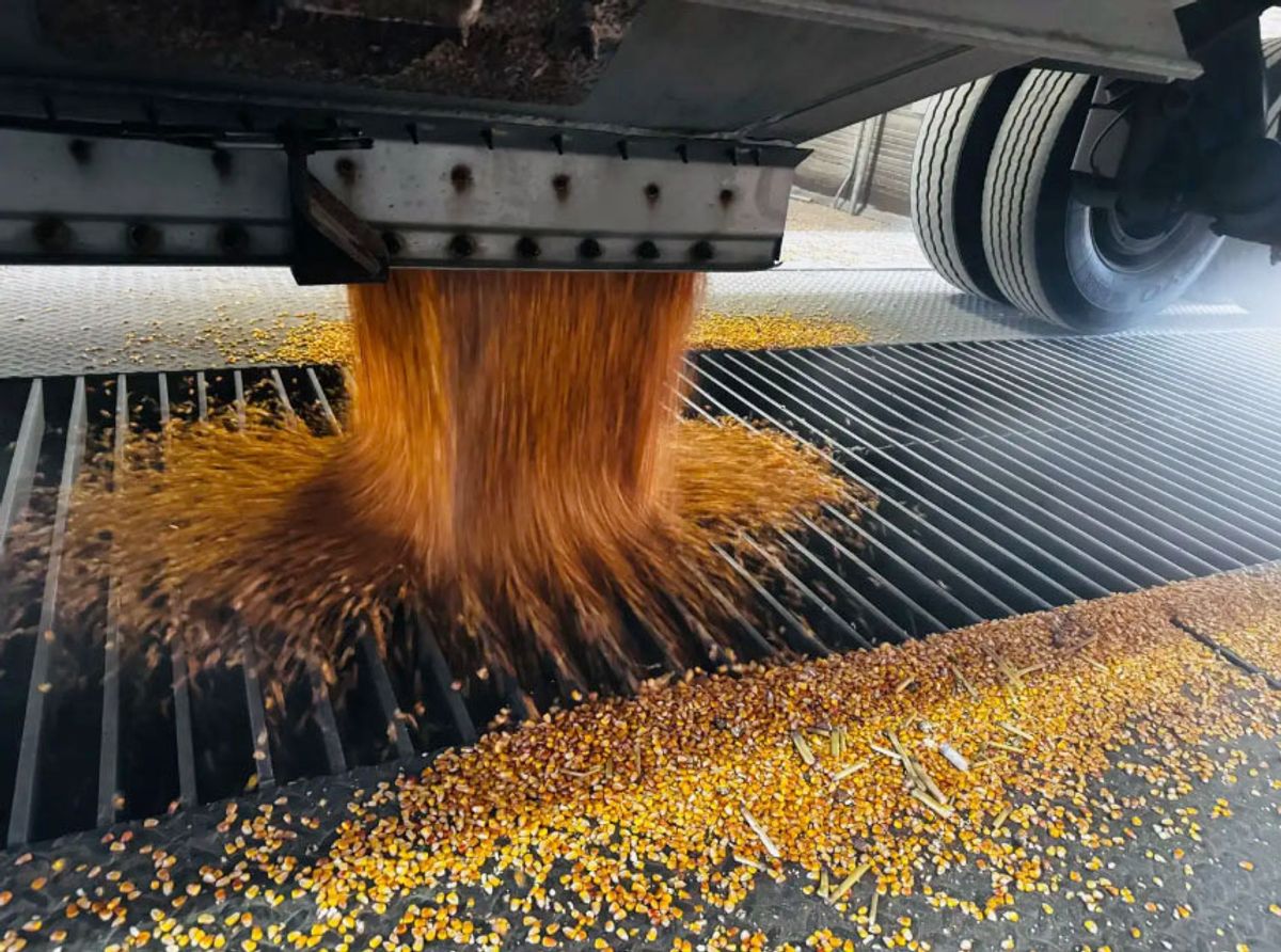 Minnesota corn growers disappointed by postponement of ethanol legislation
