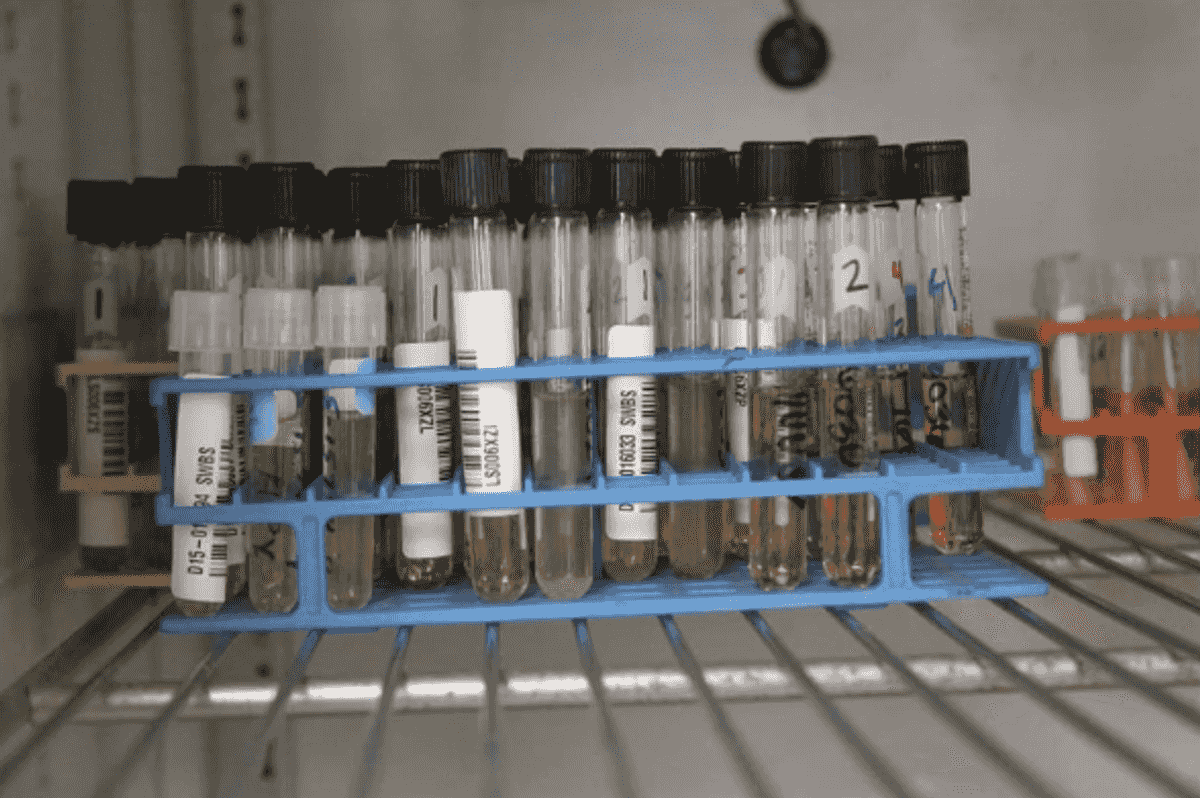 Trump administration scales back threats to cut off funding to Minnesota ag programs