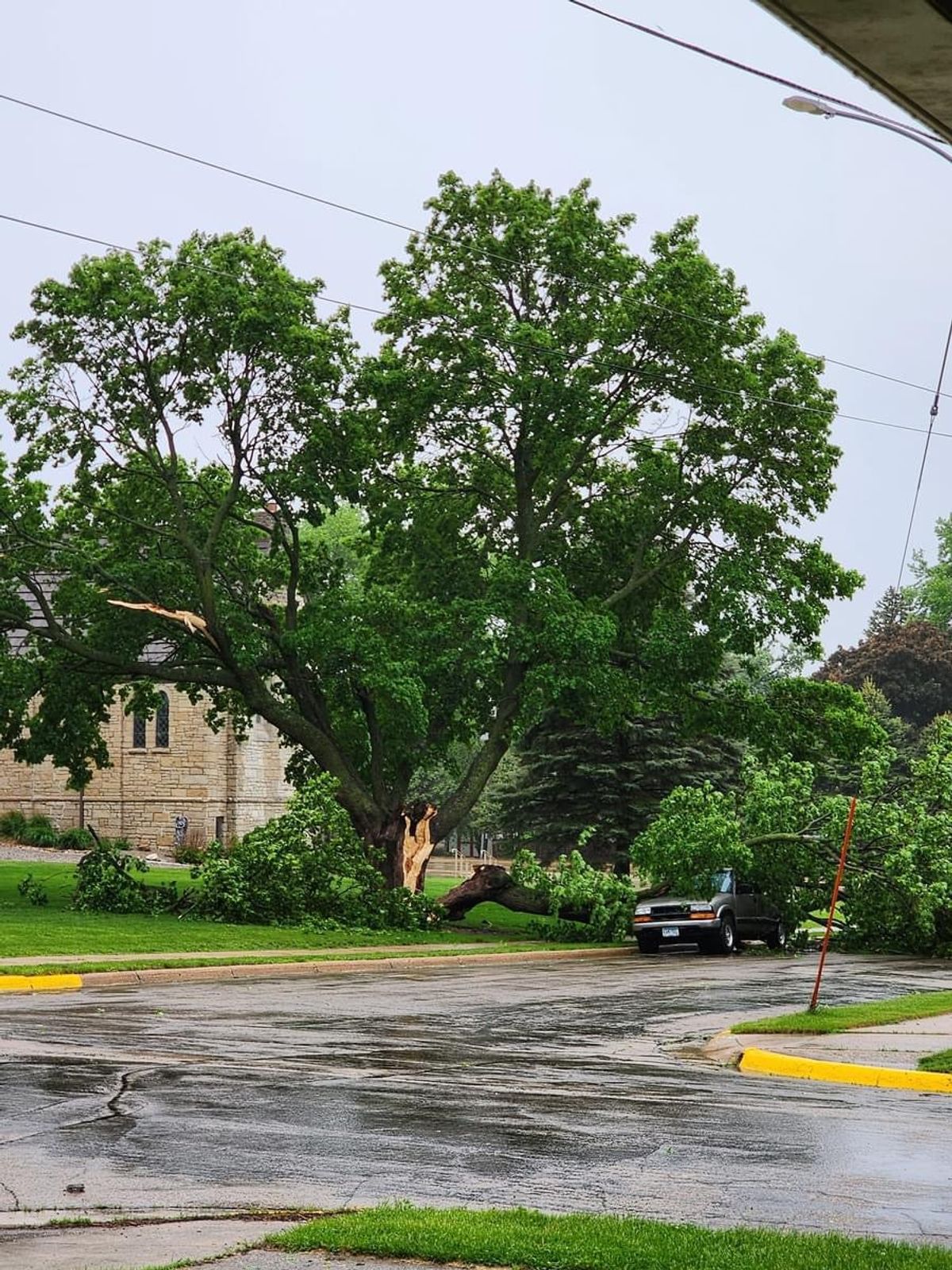 Downed trees, power outages reported