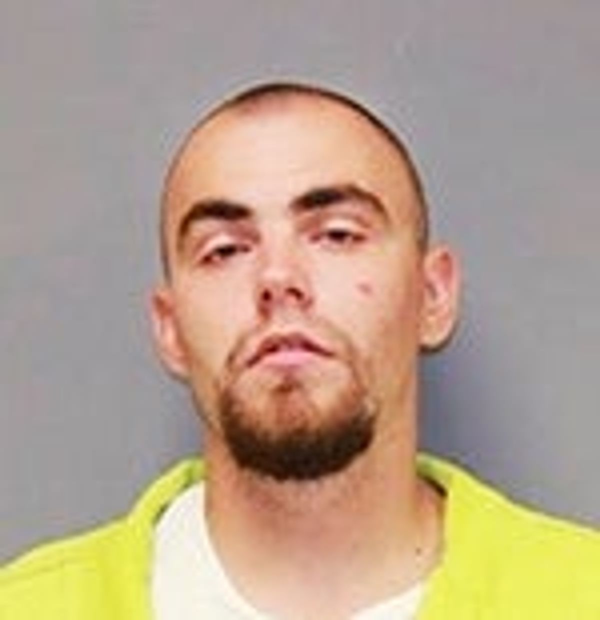 Man faces prison time after multiple felony charges