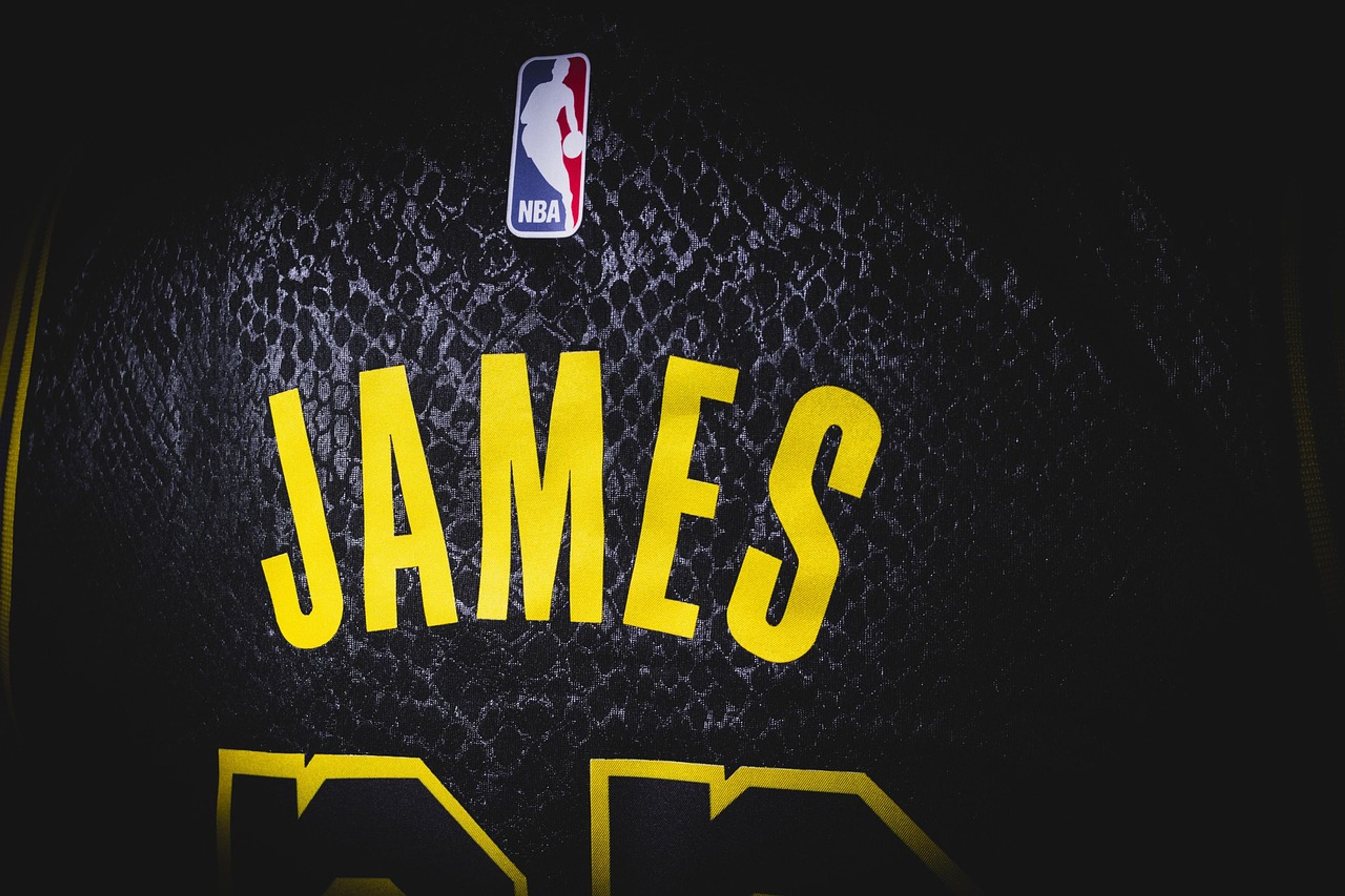 Image source: https://pixabay.com/photos/jersey-basketball-james-5730757/
