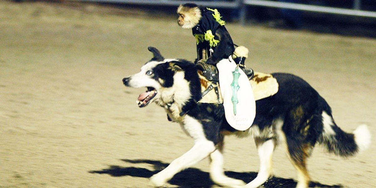 Sheriff's Rodeo celebrates 25 years