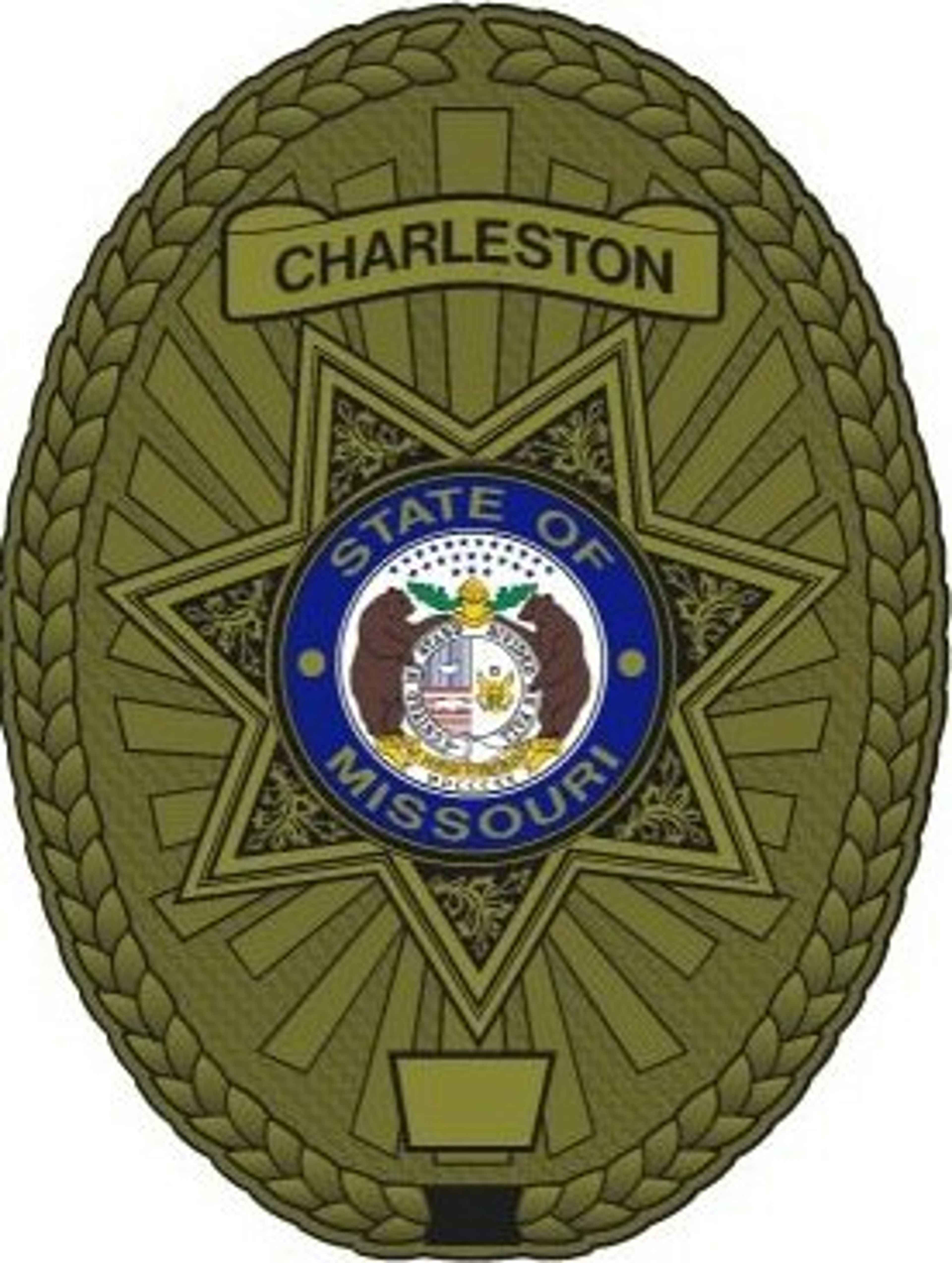 Charleston DPS Weekly Summary, 3/8/25