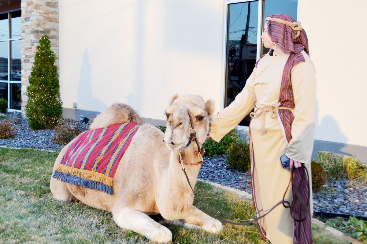 Photo gallery: First Midwest Bank hosts annual living nativity in Sikeston