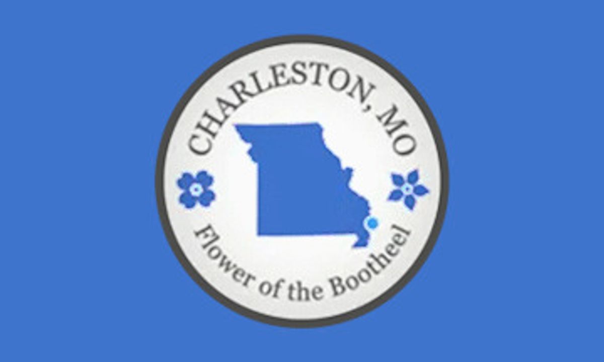 Beautifying Charleston in various ways discussed at length b...