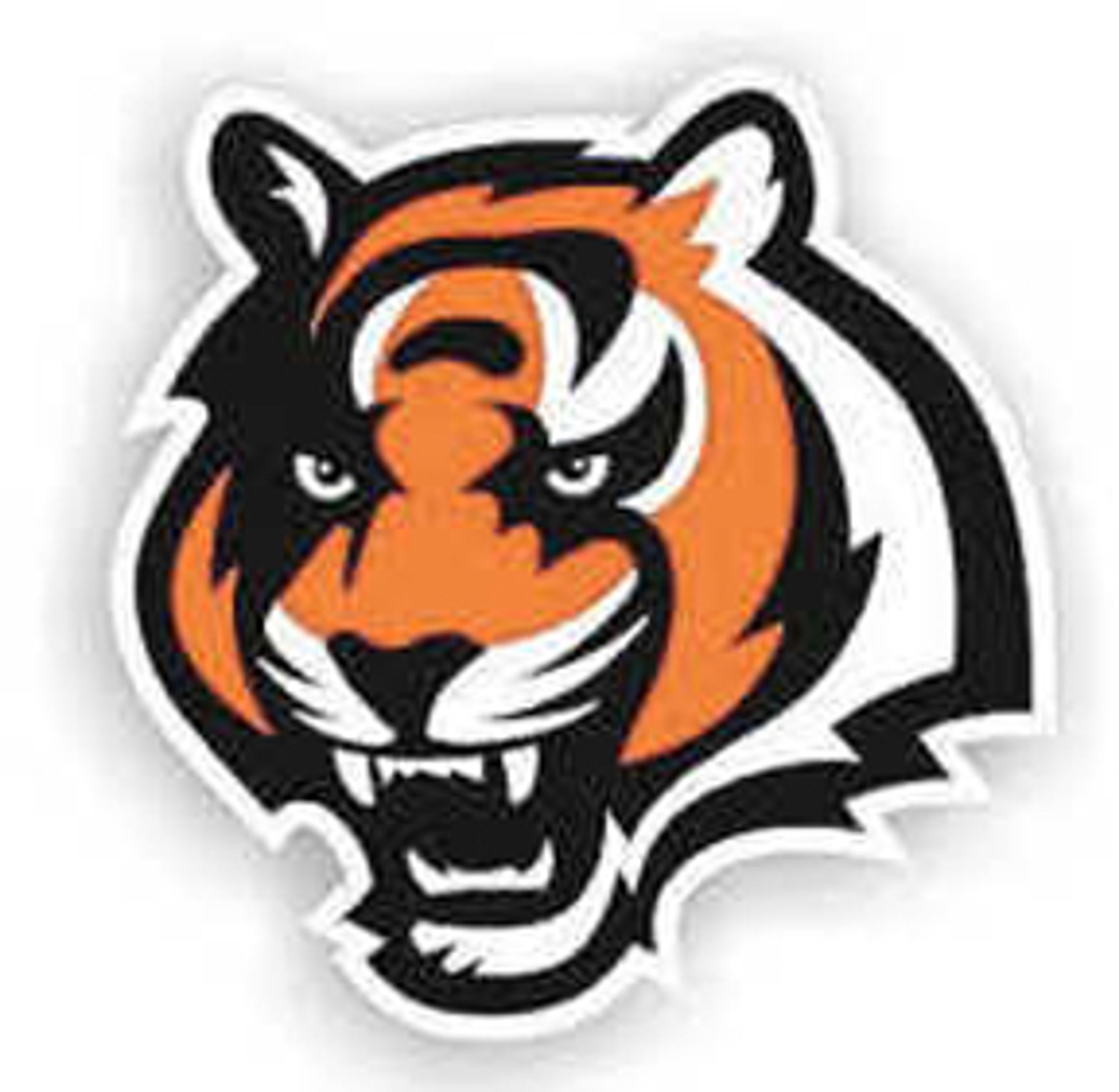 Lady Tigers fall in regionals
