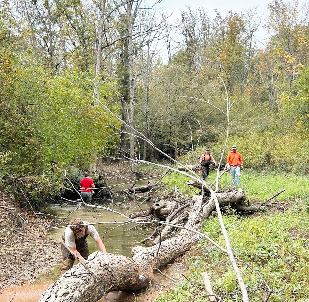 AGFC opens opportunities to help improve WMA access