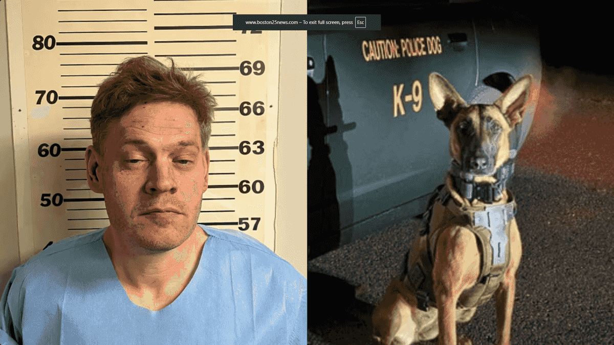 NH man caught by state police K9 following 100+ mph multi-to...