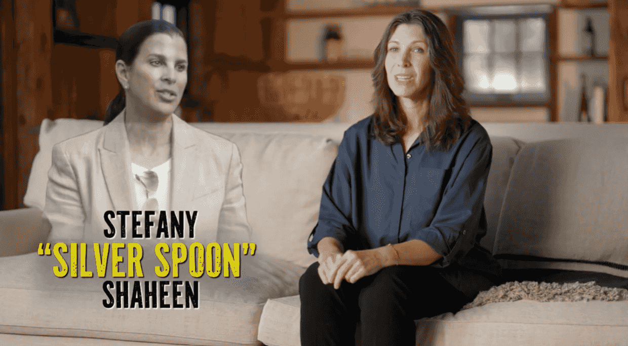 DiLorenzo attack ad brands rival as 'Silver Spoon Shaheen'