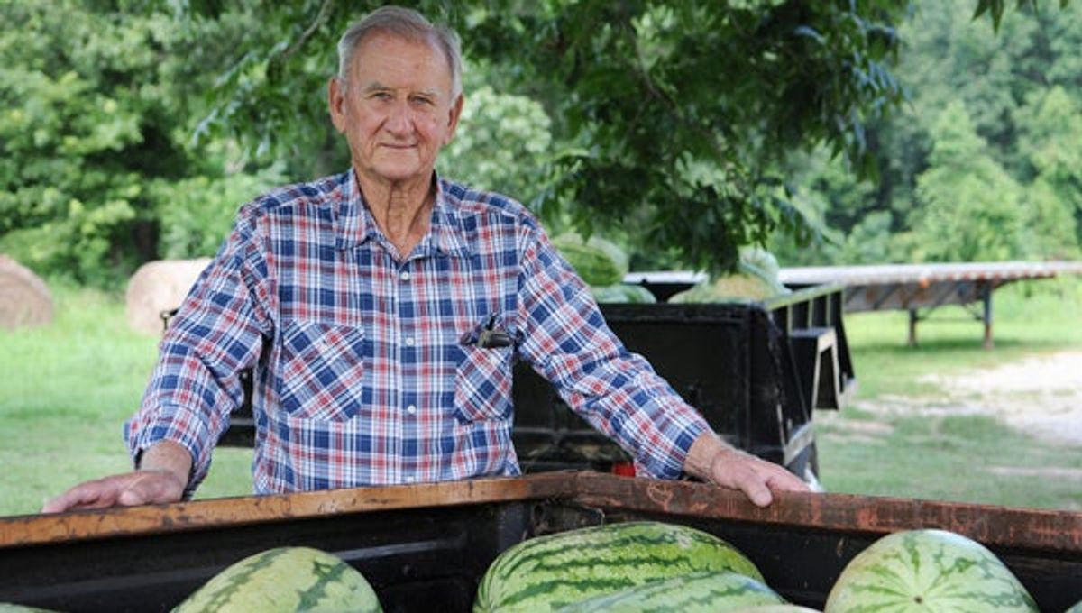 Growing watermelons started as a hobby but is now a passion ...