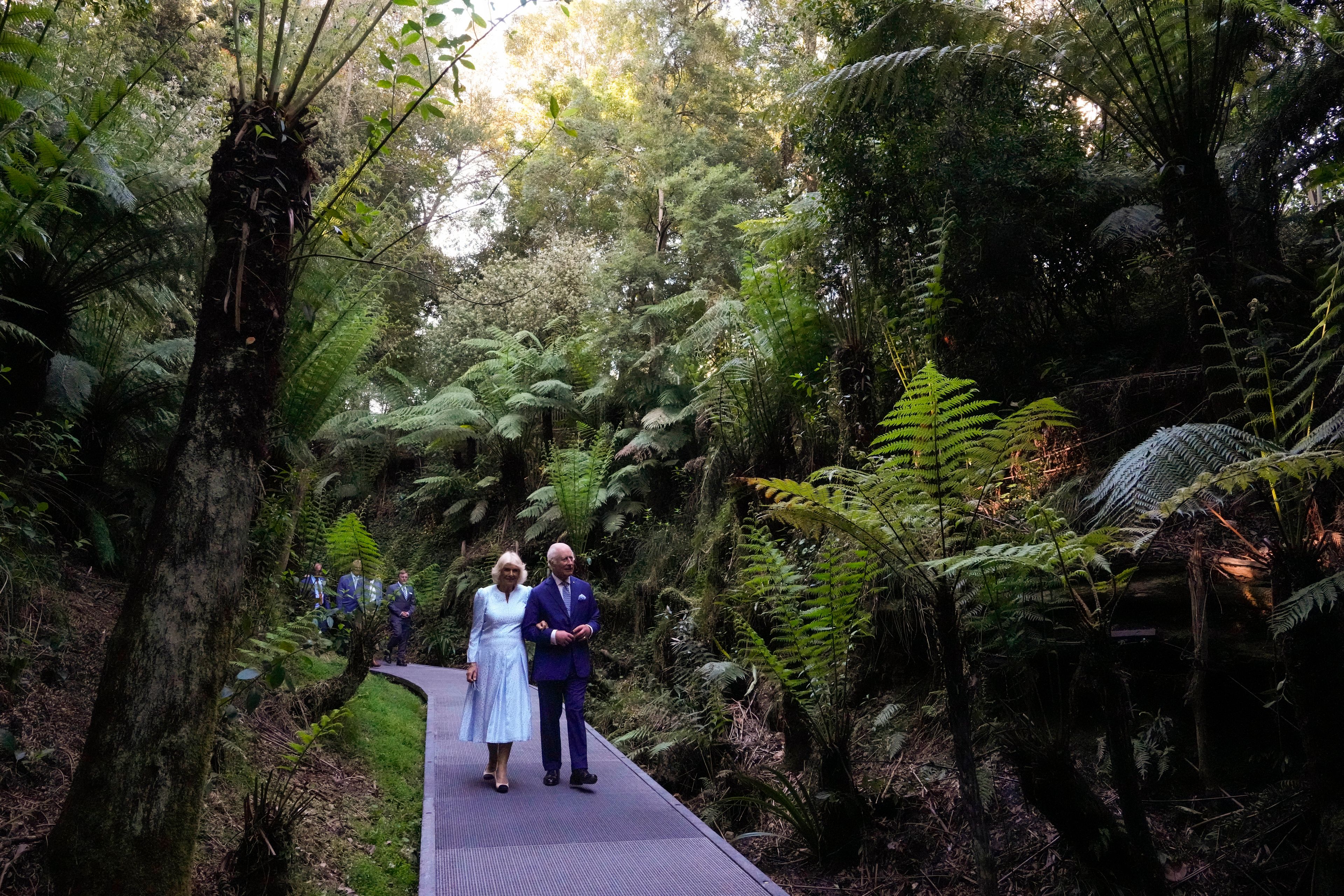 Britain's King Charles III, and Queen Camilla walk through the Rainforest Gully at the Australian National Botanic Gardens in Canberra, Monday, Oct. 21, 2024. (AP Photo/Mark Baker, Pool)