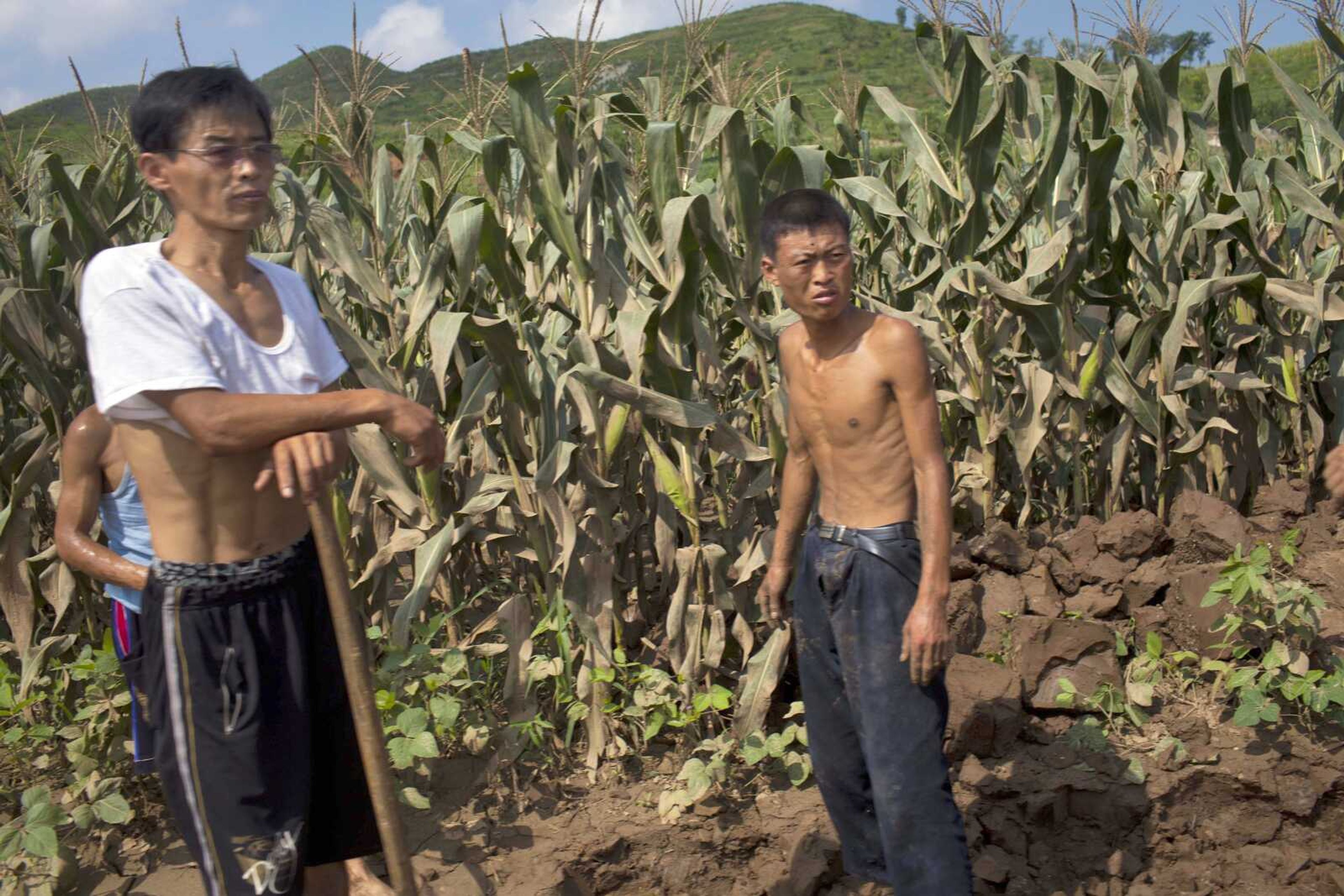 North Korean men stand next to a field that was damaged by July flooding Aug. 13 in Songchon County, North Korea. (David Guttenfelder ~ Associated Press)