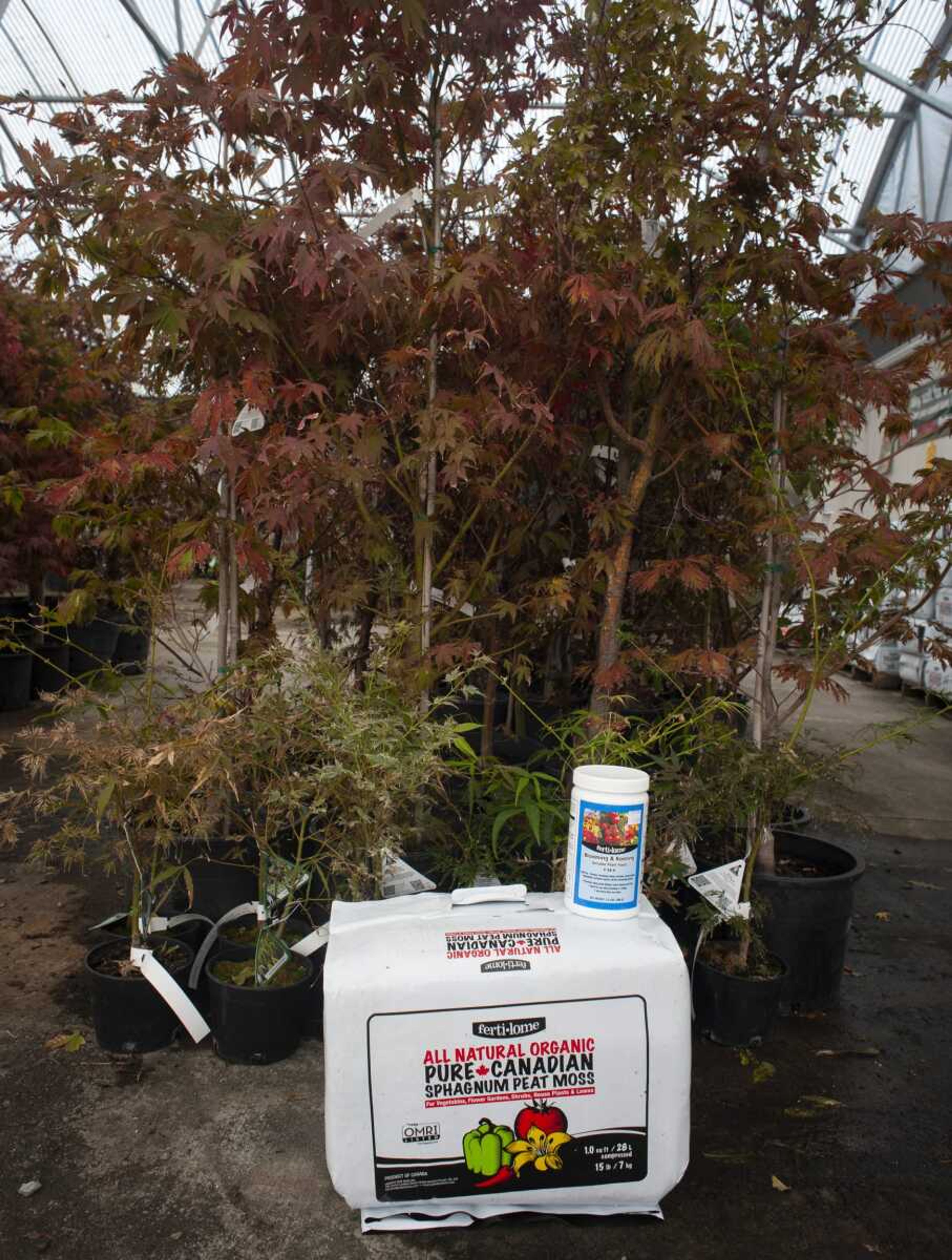 Peat moss and plant food are seen next to deciduous trees Tuesday at Sunny Hill Gardens & Florist in Cape Girardeau.