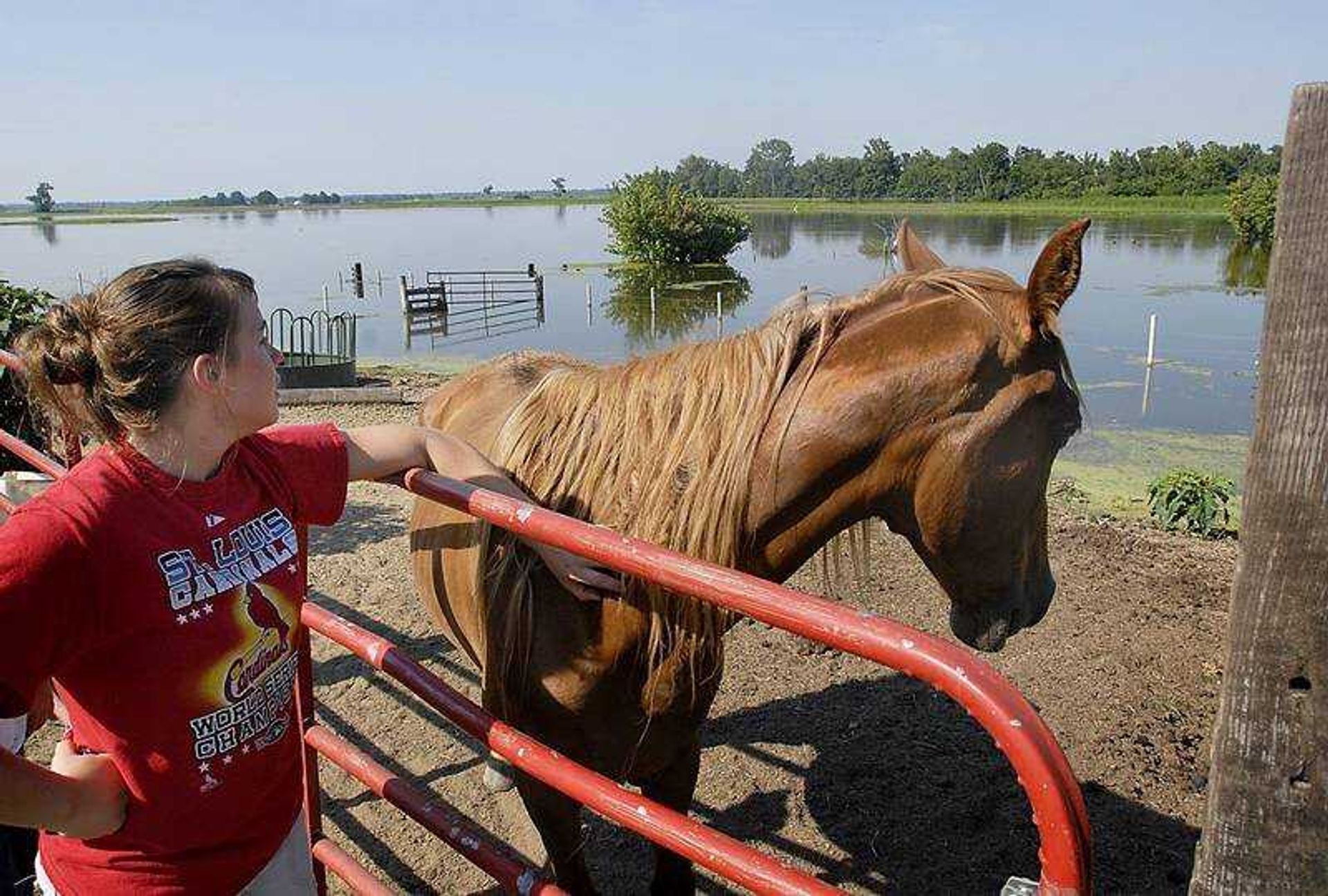 KIT DOYLE ~ kdoyle@semissourian.com
Kaylee Boston, 15, scanned flood waters while petting a horse at her grandparents' home Wednesday, July 16, 2008, south of East Cape Girardeau, Il. Five acres of pasture are still under seep water and could potentially be for a long time.