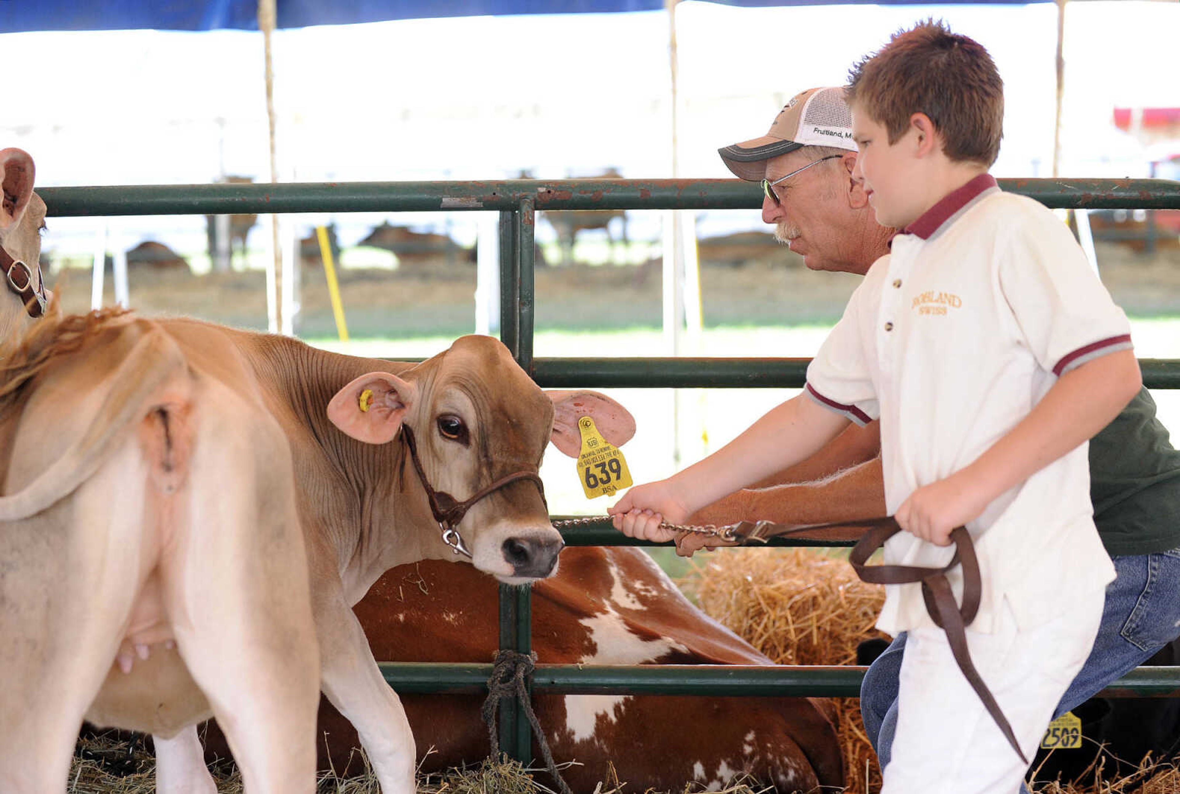 LAURA SIMON ~ lsimon@semissourian.com

Michael Kieninger, front, and Bob Landgraf, prepare to take Jumbo, a sixth-month-old Brown Swiss, before heading to the Livestock Show Arena for the Brown Swiss judging on Monday, Sept. 12, 2016, during the SEMO District Fair at Arena Park in Cape Girardeau.