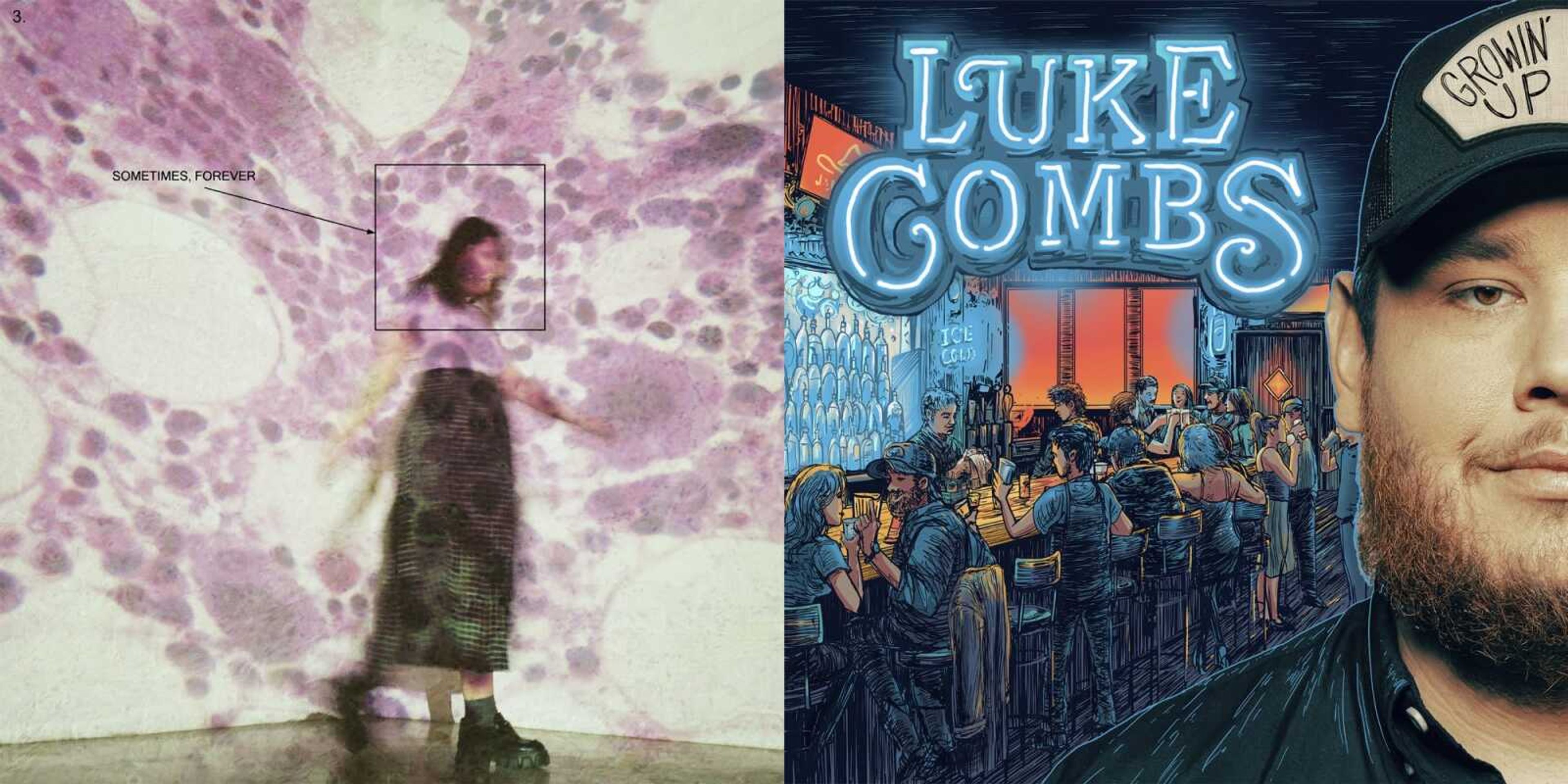 This combination of photos shows album art for "Sometimes, Forever" by Soccer Mommy, left, and "Growin' Up" by Luke Combs.